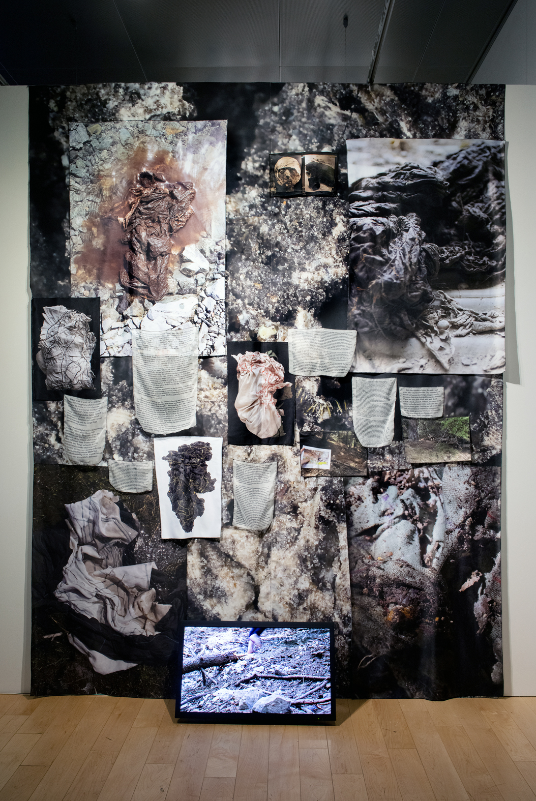 Sarah Burger, (un)earthed, Ausstellungsansicht, Ricx Festival Ecodata