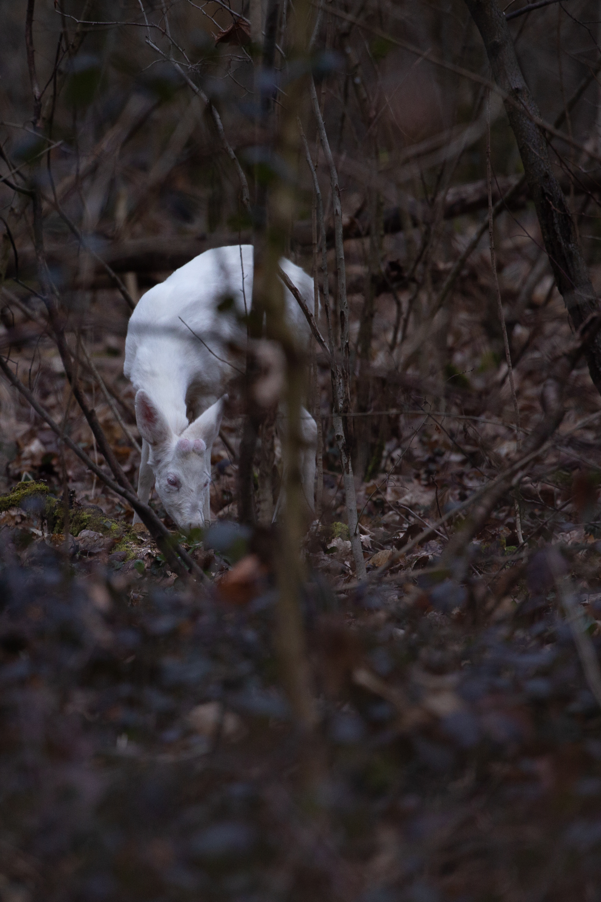 Basel, Switzerland, 2023