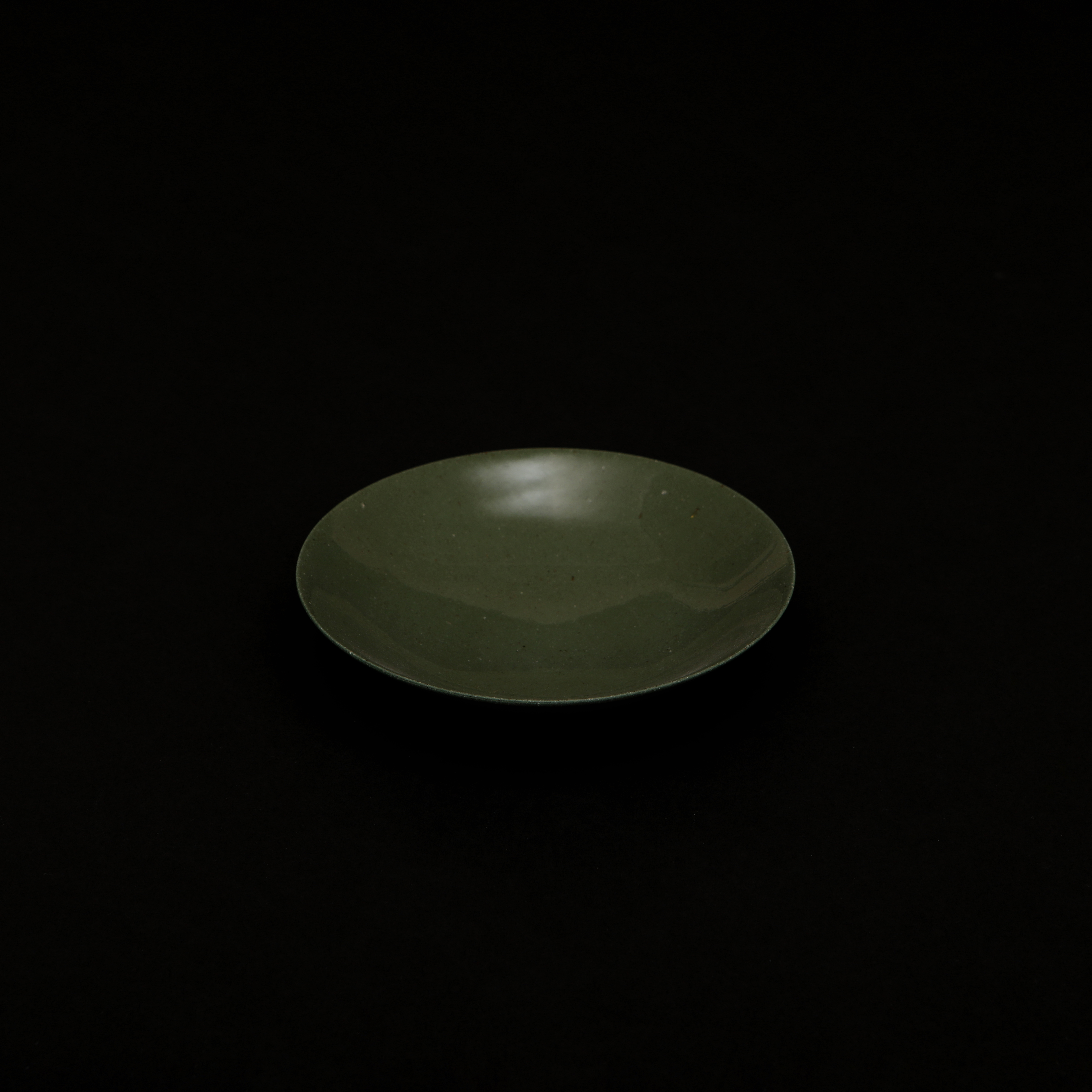 오선주의 초록 접시