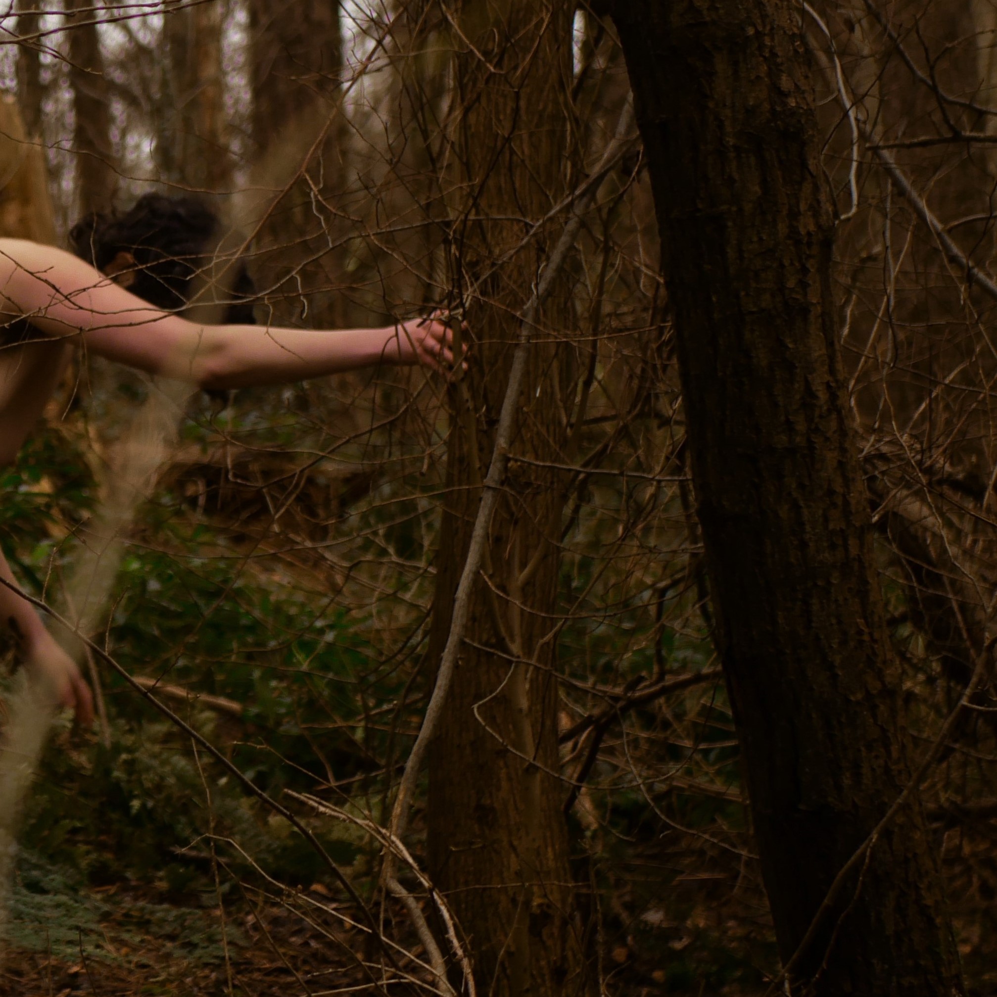 the Wild Woman - photographs