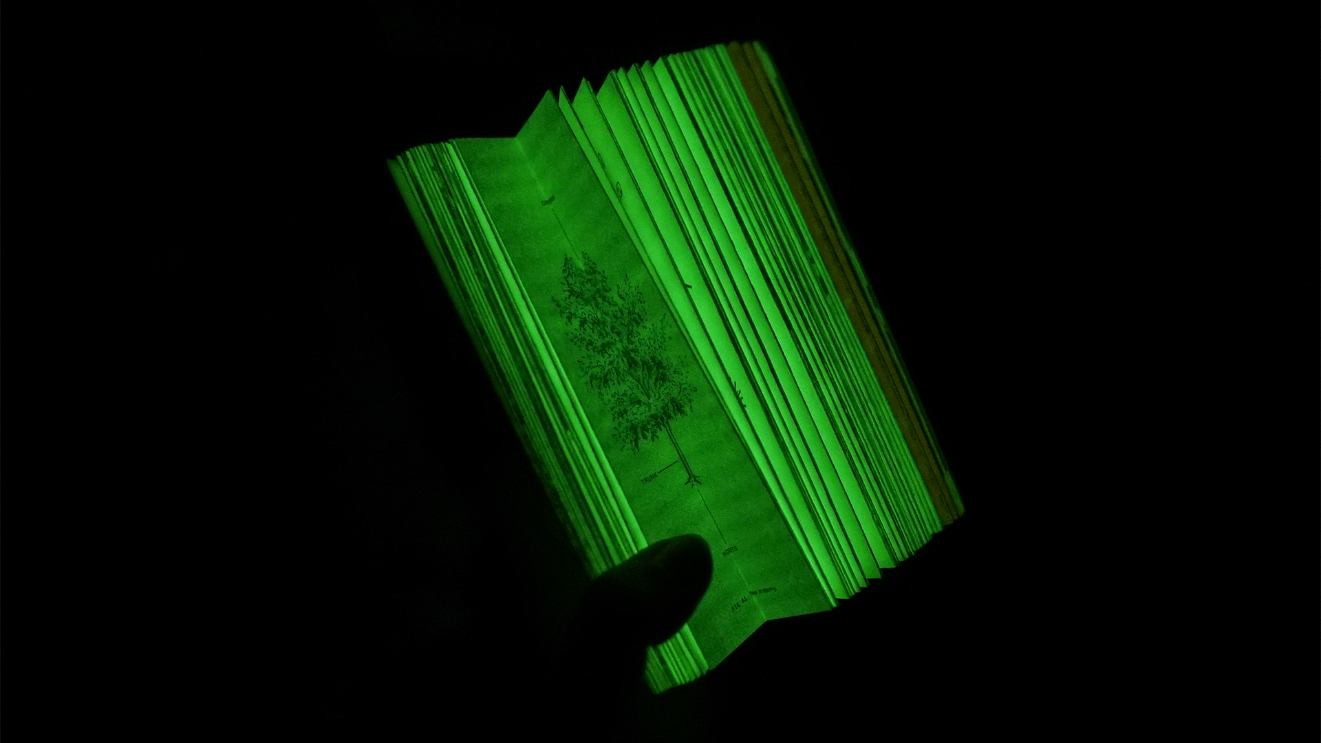 Guidebook after application of ink.