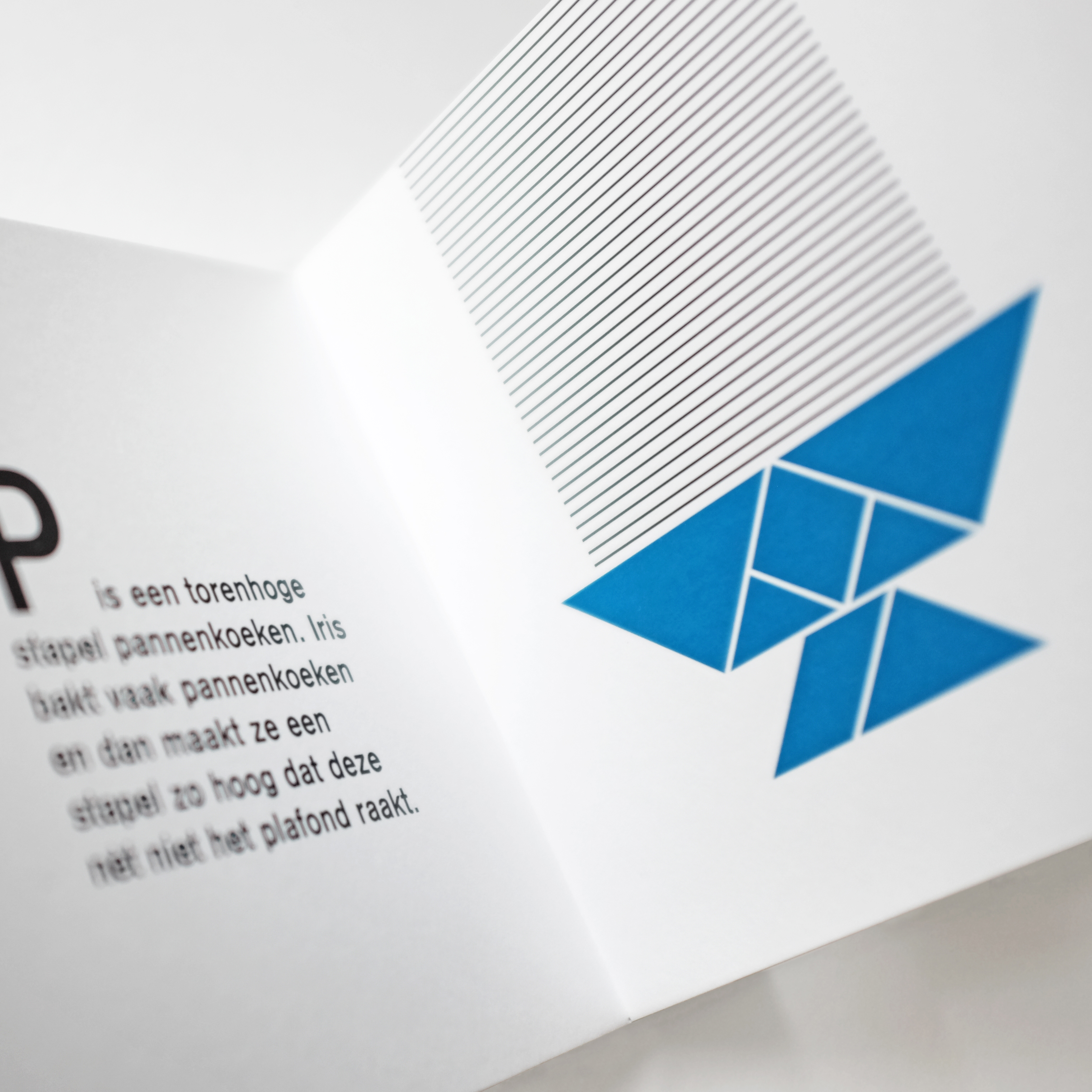 Kinderboek ∙ Illustratie ∙ Drukwerk