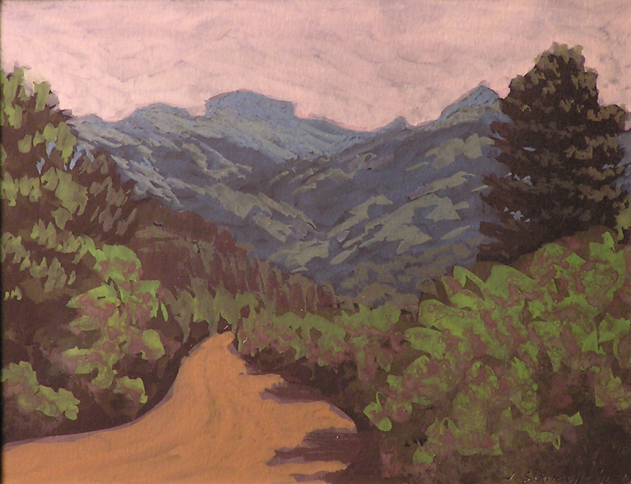 G1.9 - road to Squaretop, CO