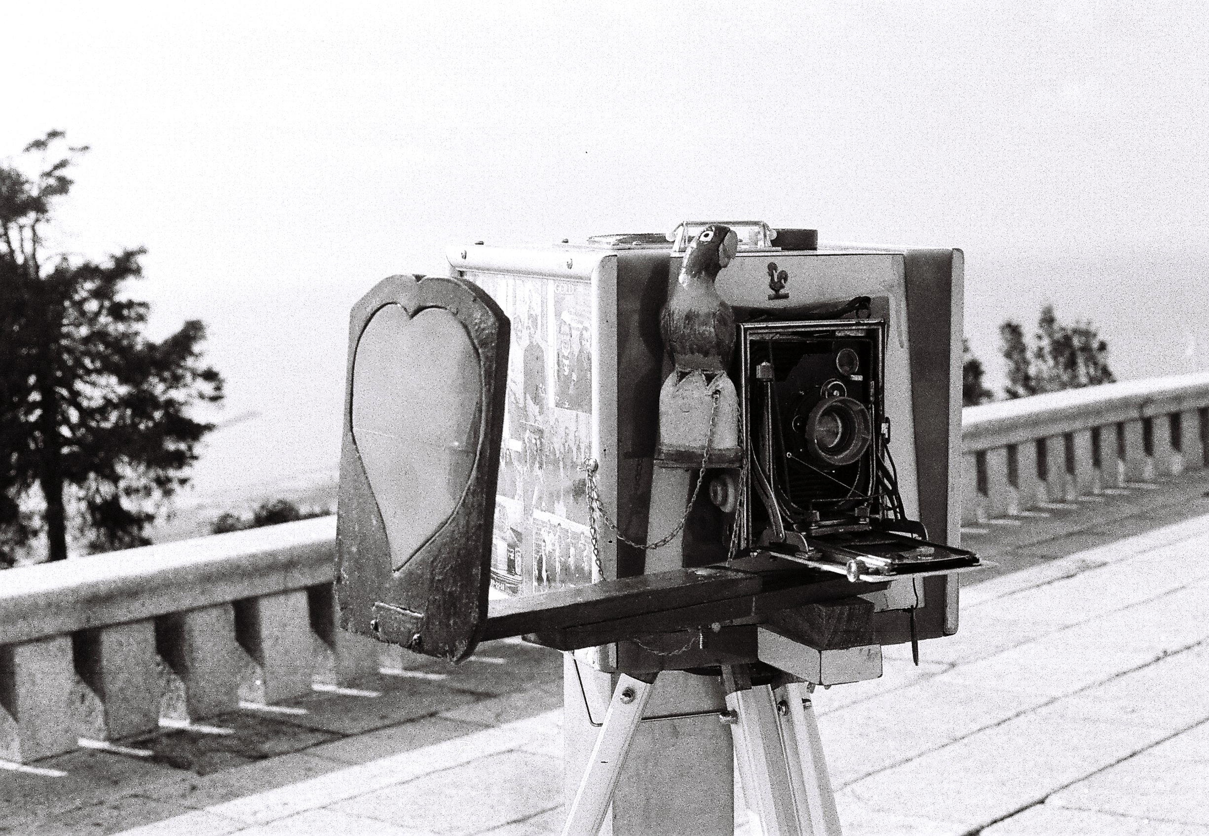 Viana do Castelo, Portugal, 2020, Canon FTb, Ilford Film