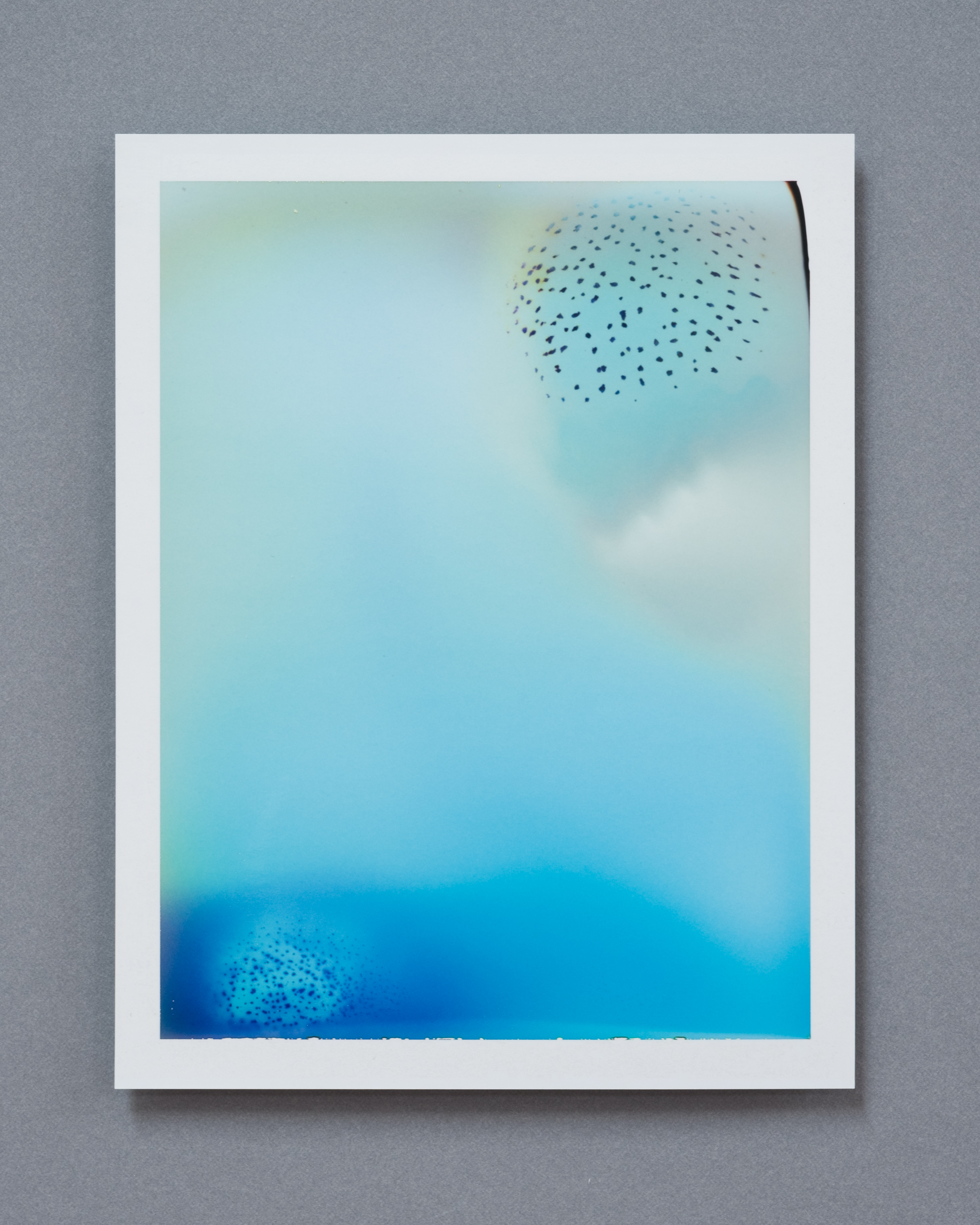 Cemrenaz Uyguner at Unit 17