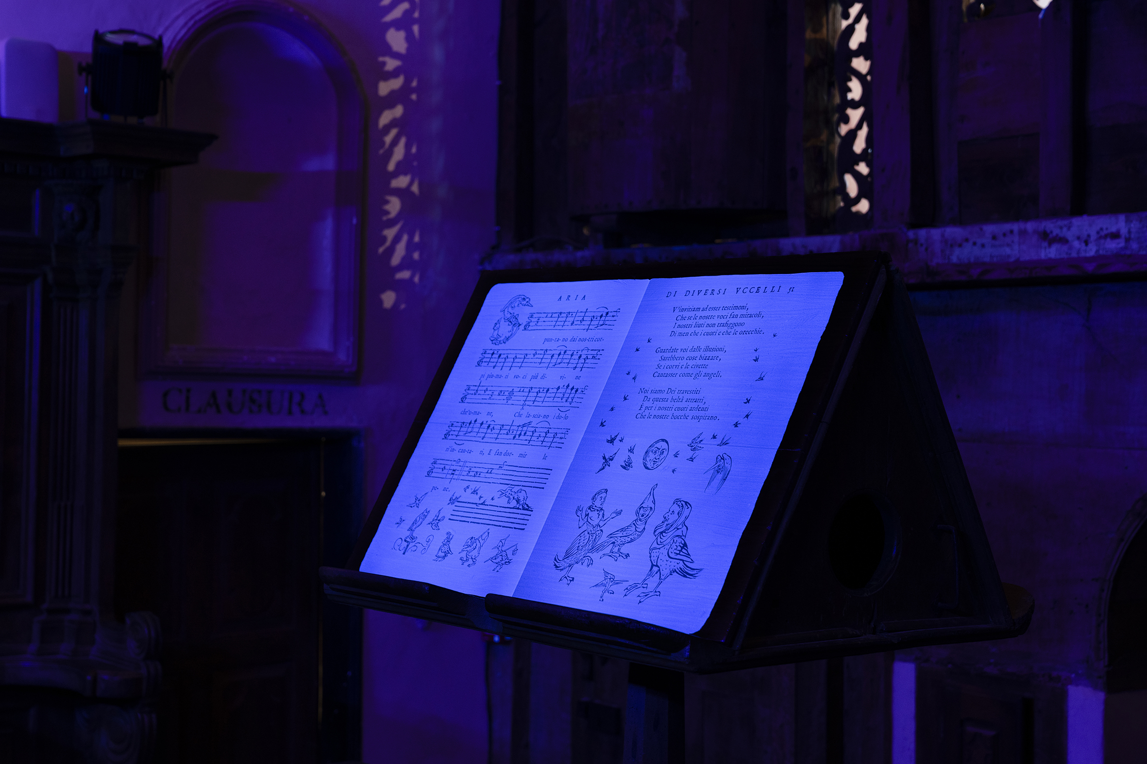Frati uccelli, installation musicale et visuelle, dimensions variables, 2023