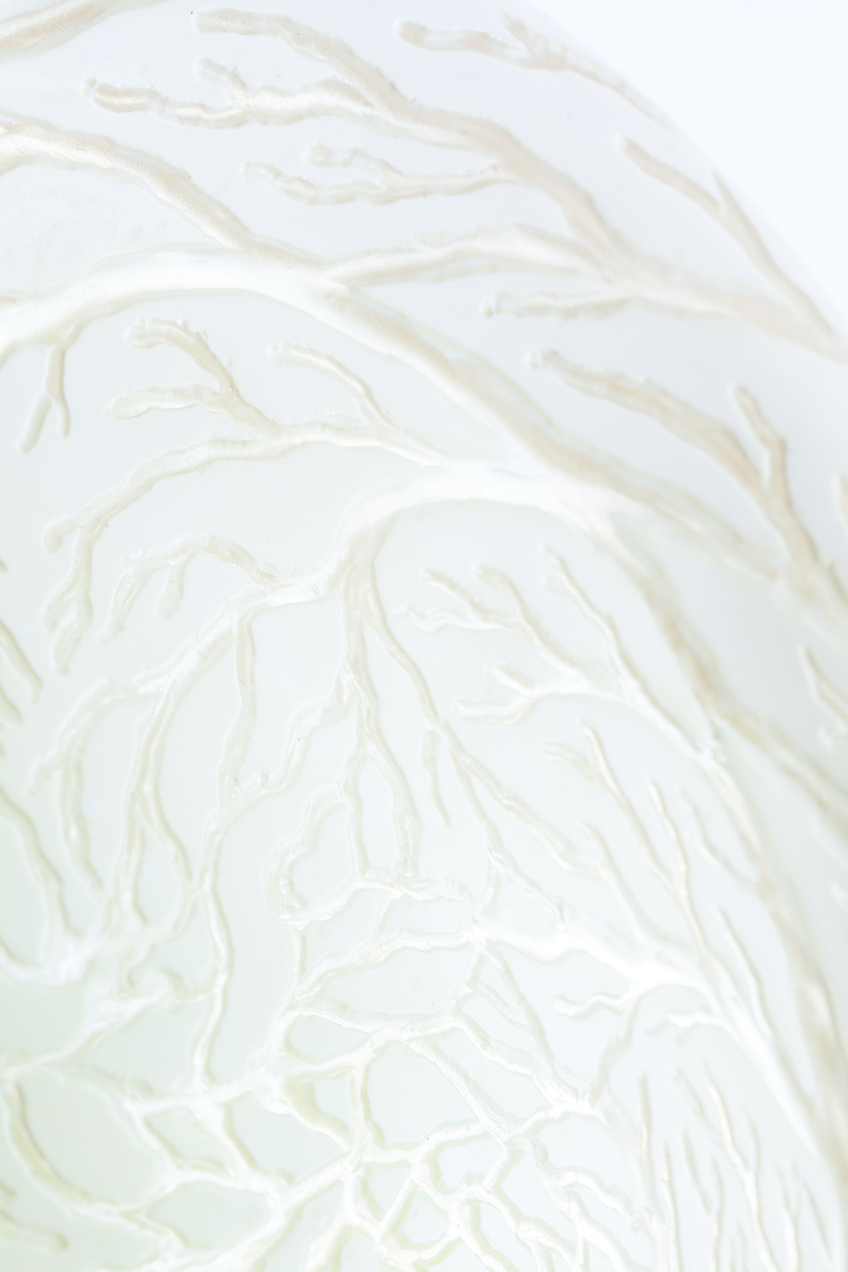 PHOTOGRAPHY RAF STUDIO OF MUTATIONS EXHIBITION AT MAD PARIS