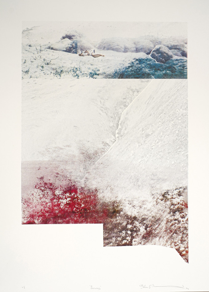 Fireweed [50 x 70 cm]