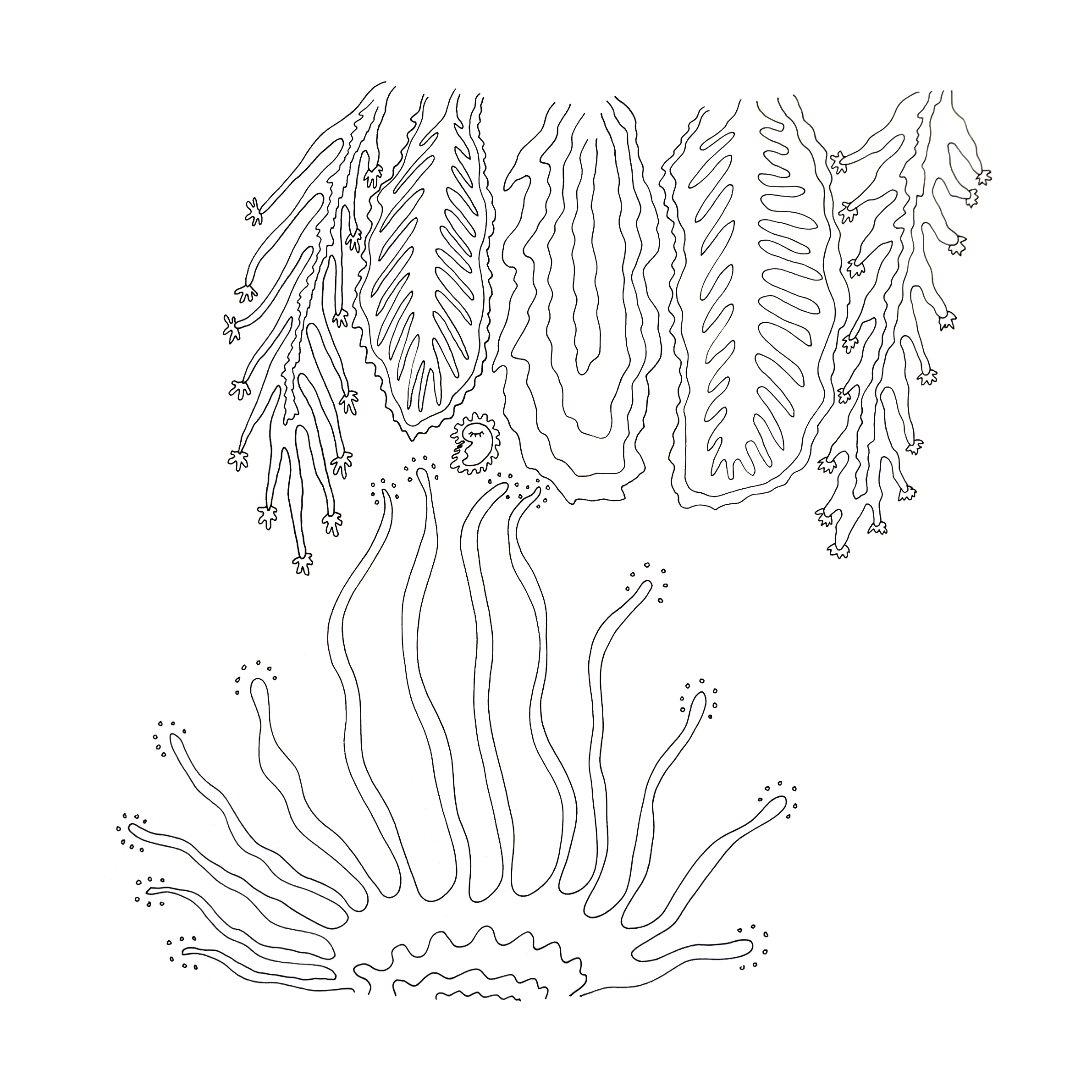 You are a Shining Spirit in Enchanted Forest 🌳 ✨