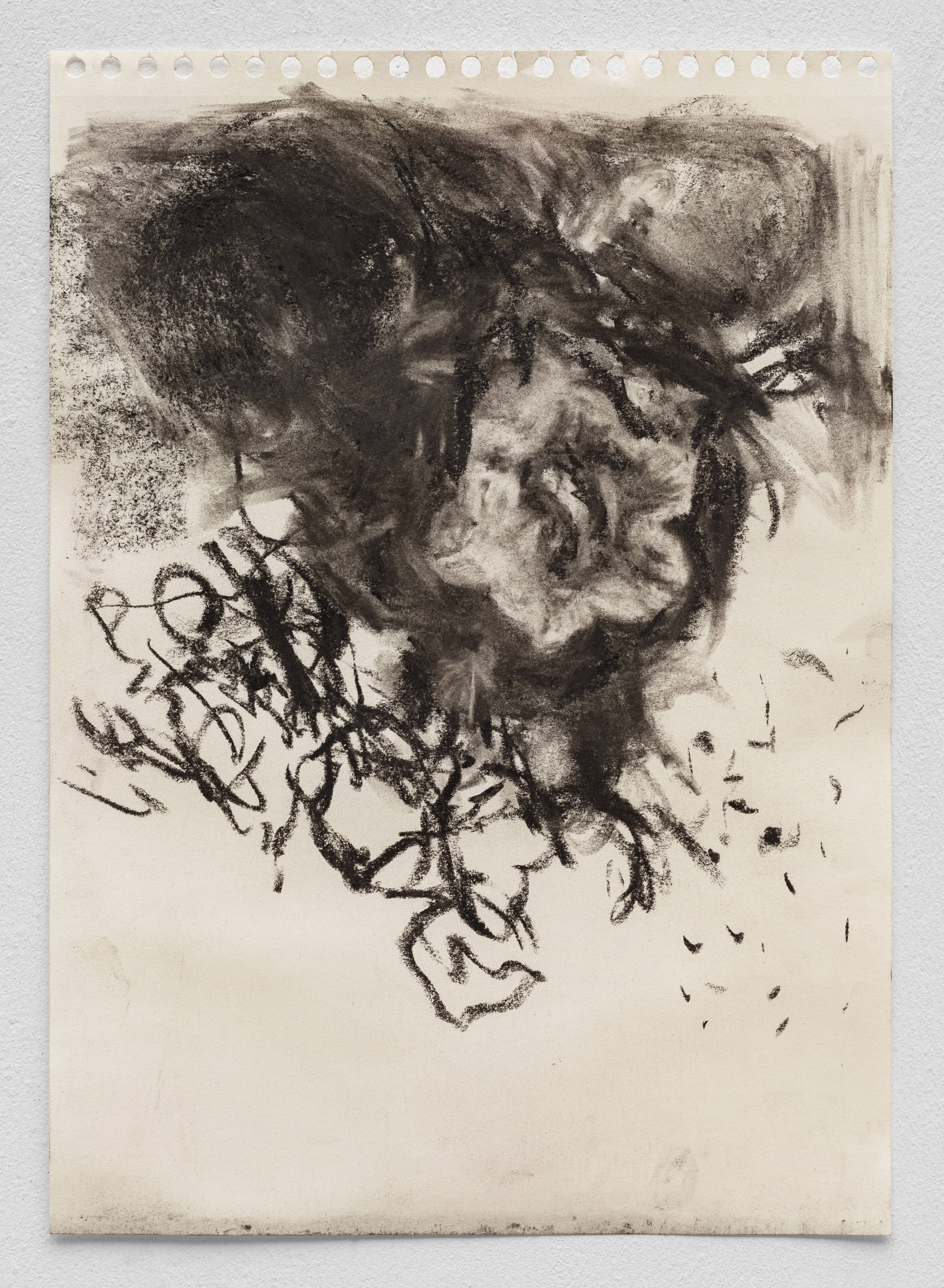 Sober Flowers seeking for Statistics #1, 2024 Charcoal on paper 21 x 29,7 cm. (Documentation: Fabrice Schneider)