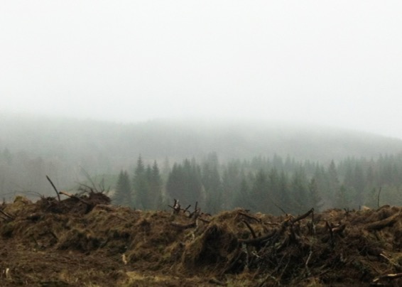 Vue de "Je vois le ciel au fond du puits" aux Salaisons hors les murs, 2016