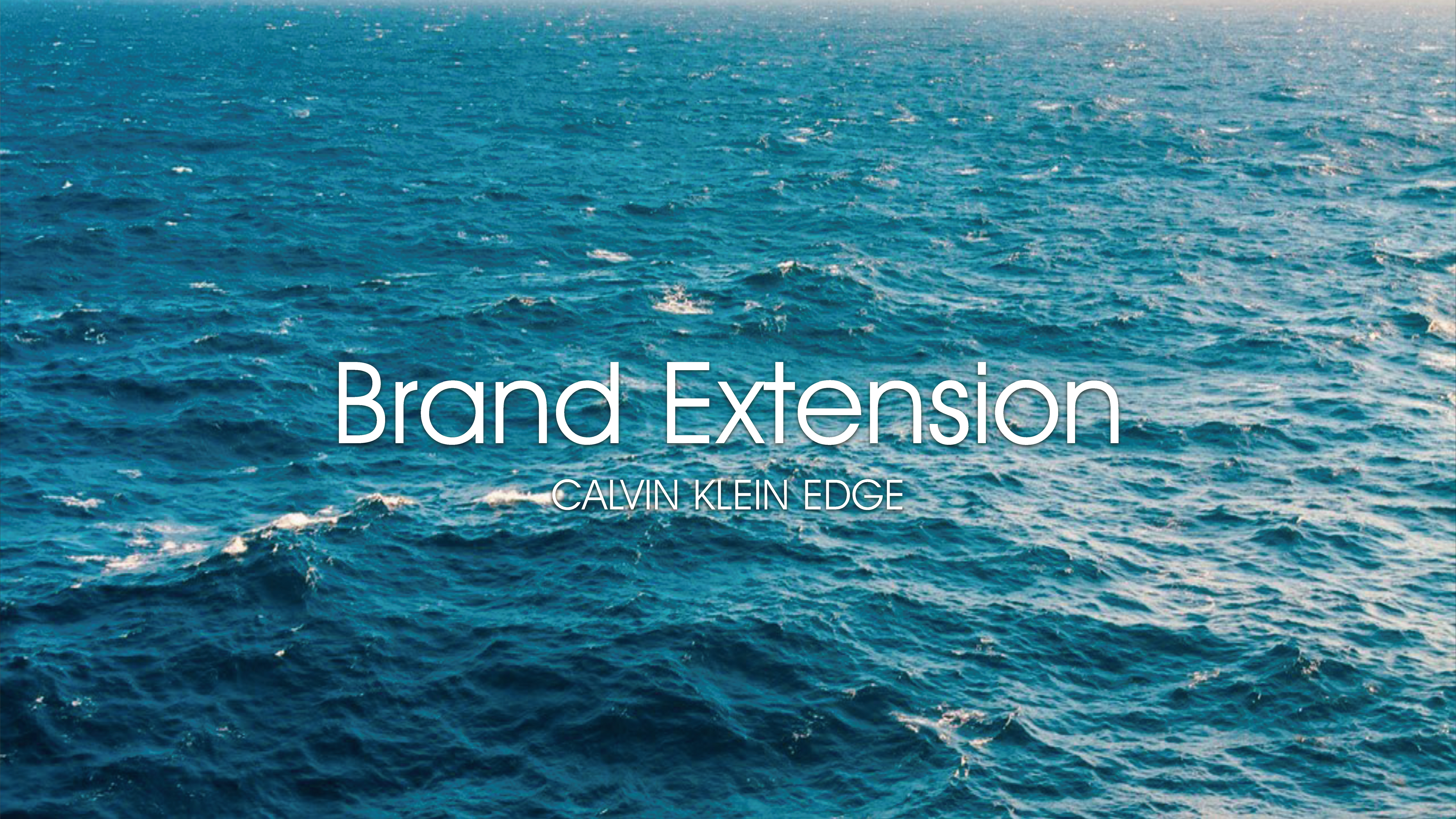 Calvin_Klein_Modeling_Campaign.pdf 