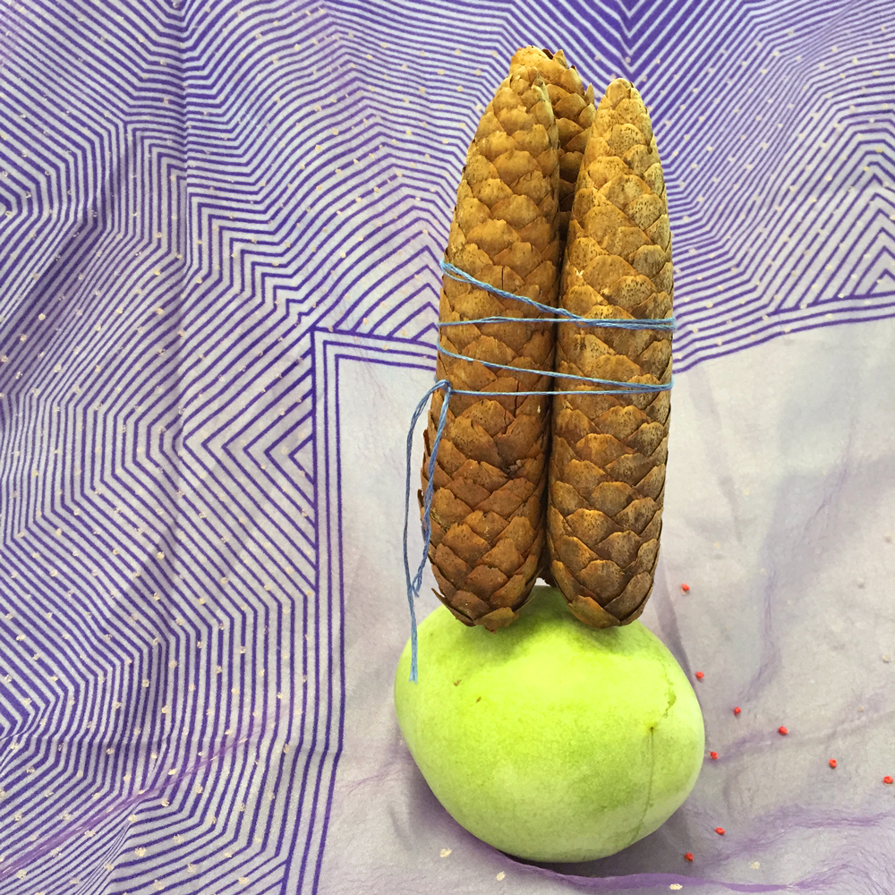  No. 11: Pawpaw & Squaw