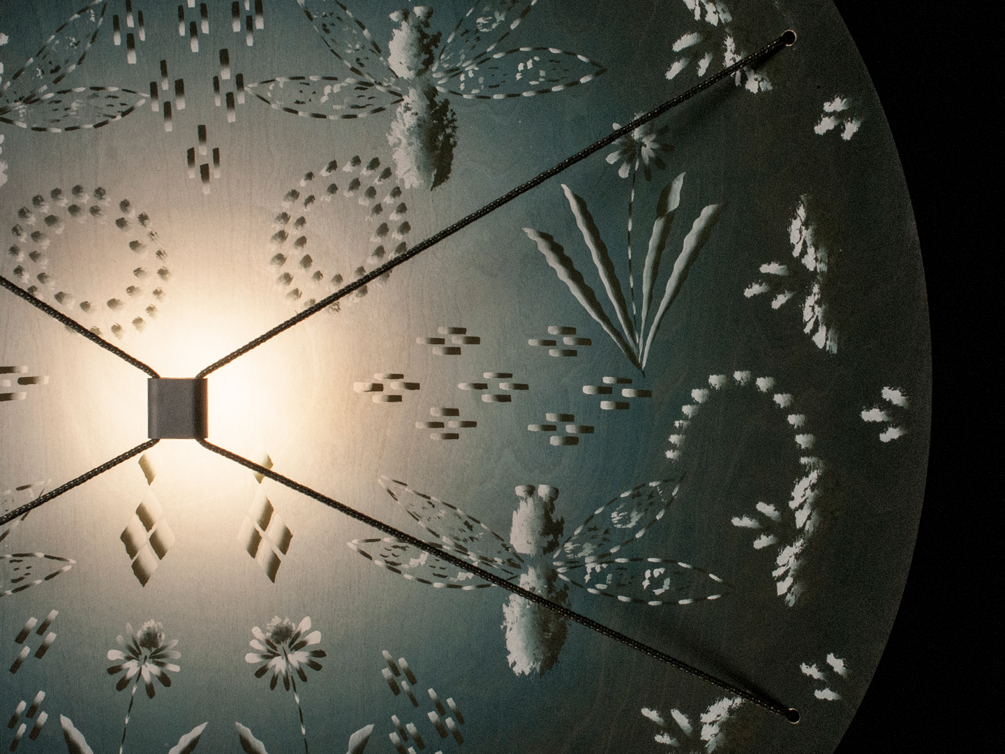 Painted LightA collection of lamps where a painting by artist Gijs Frieling directs itself to the light as an interpretation of Hindeloopen painting.