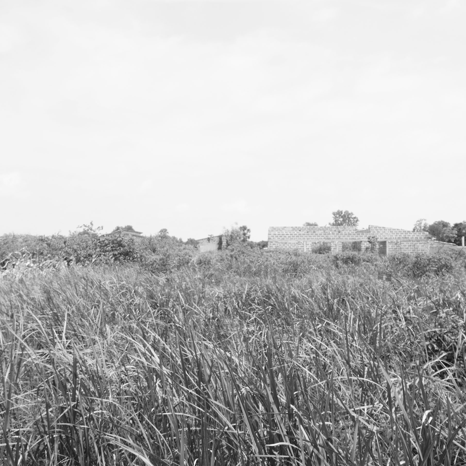 Pahou / Construction d'une maison familiale