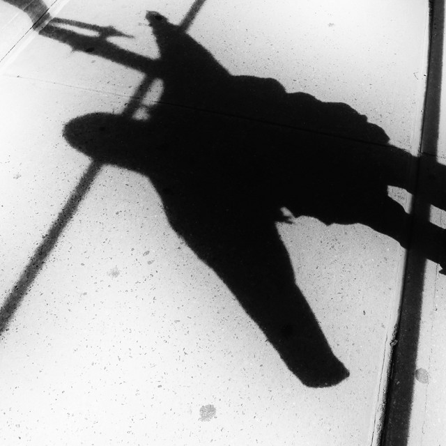 Perfect Disposition / Ava McCoy