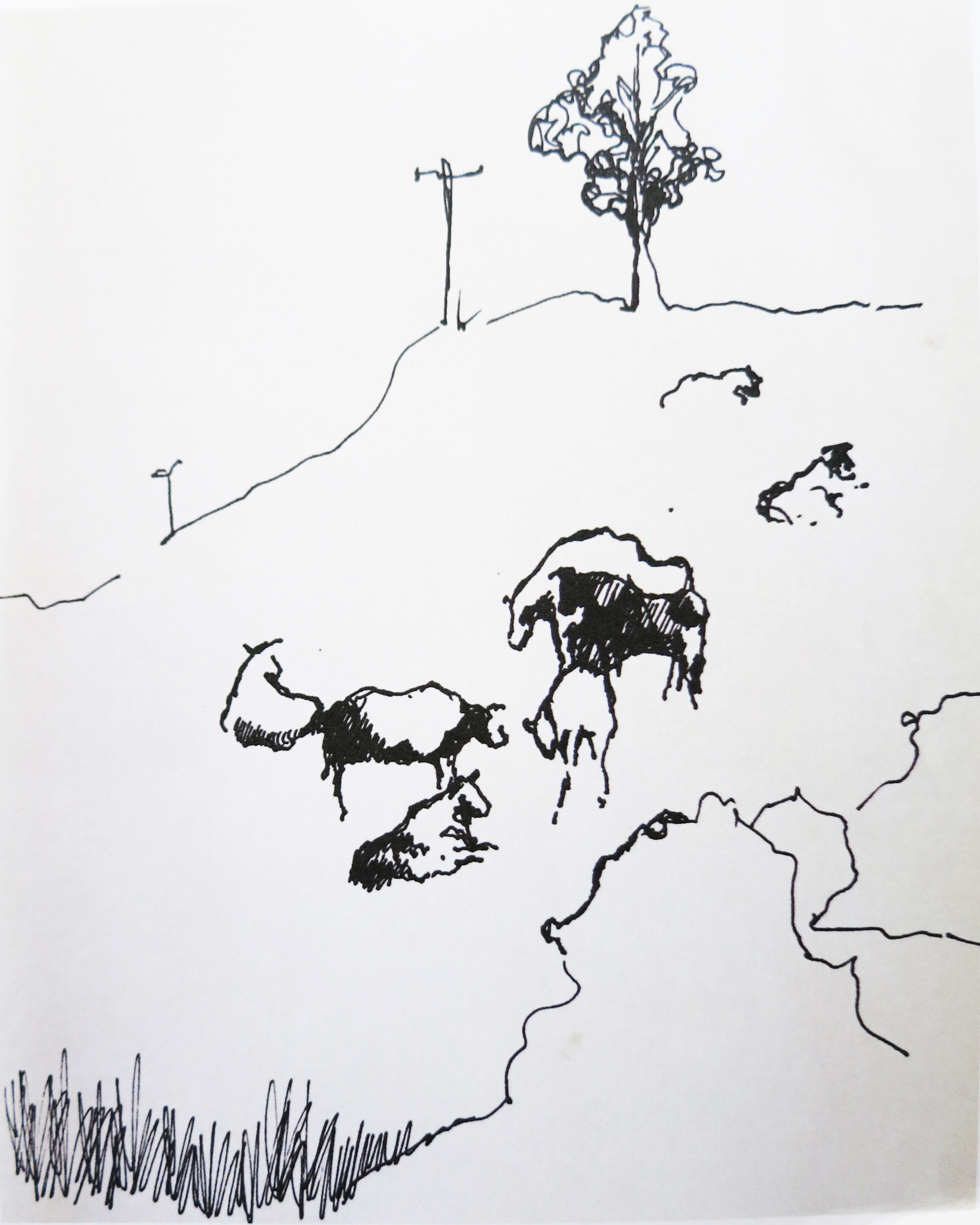  Ink on paper &ndash; 11&rdquo; x 8&rdquo;  