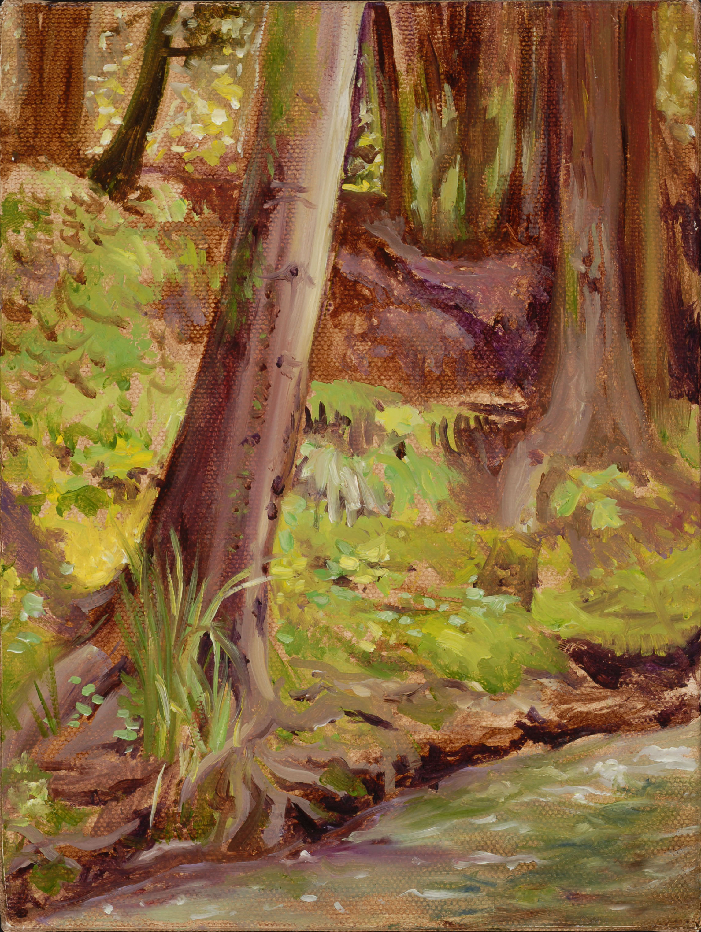 Plein Air #1, oil/canvas