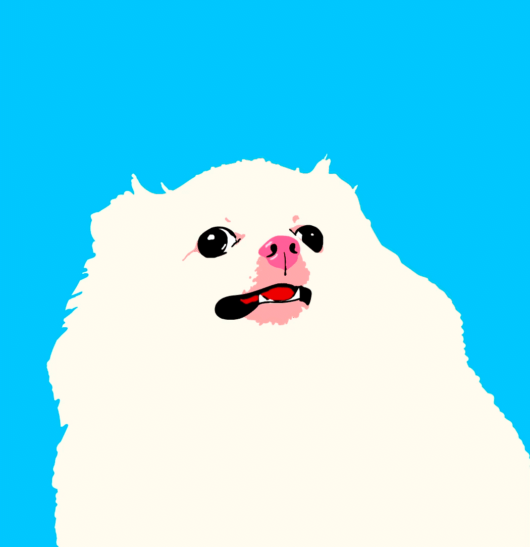Tiny Angry Dog / 2022