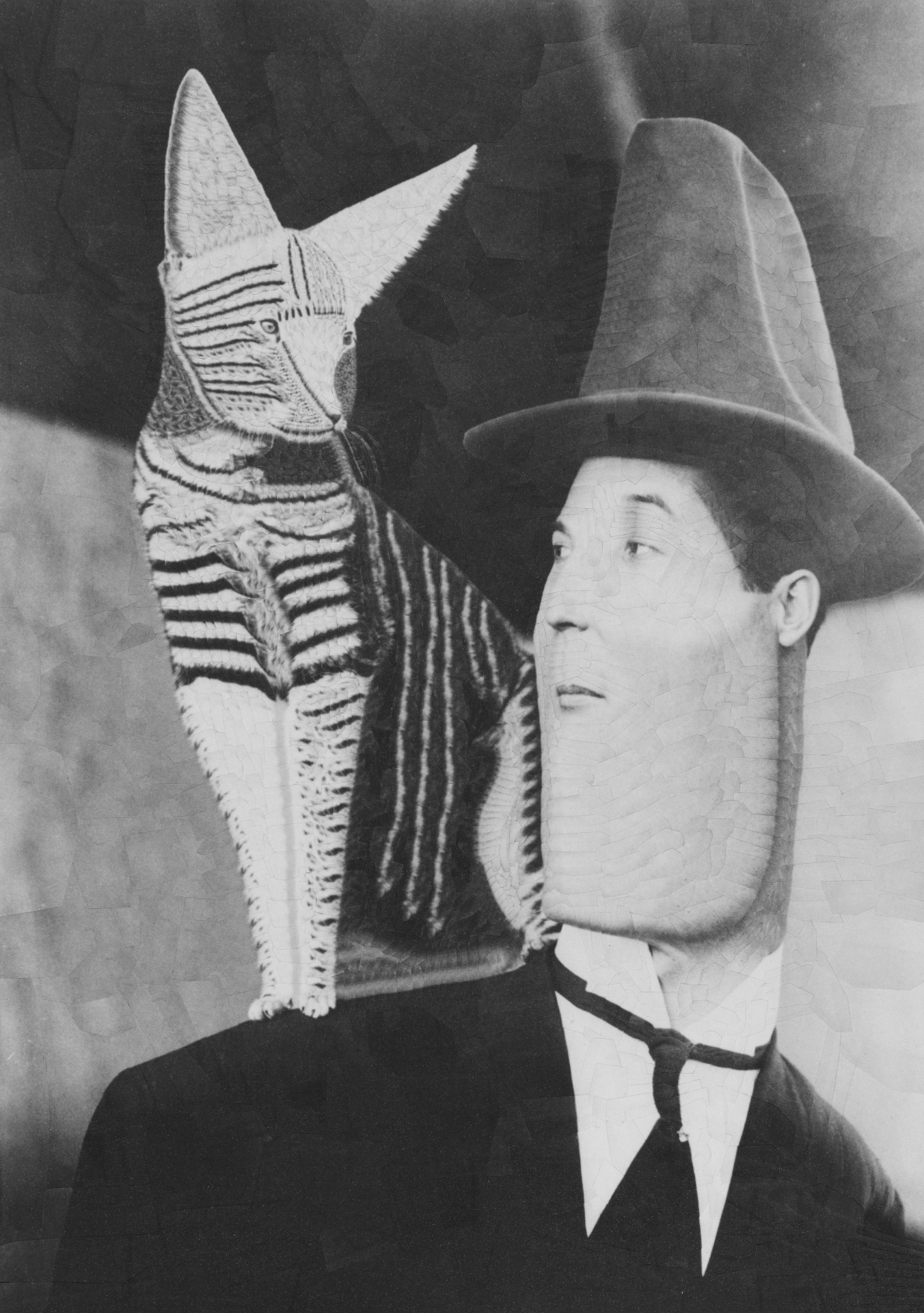 Mademoiselle Fifi and admirer, 2026, 12 x 16 inches