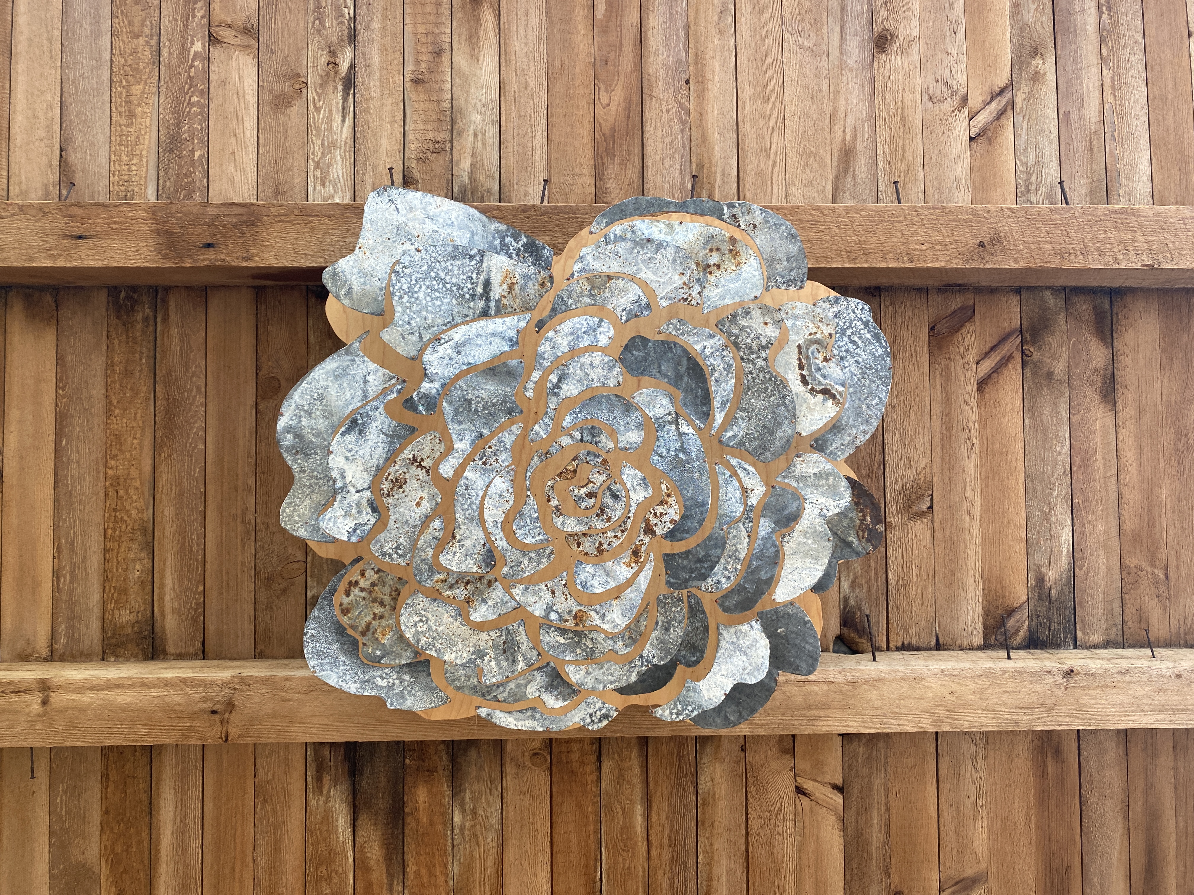  21.07.03: Rosette #1