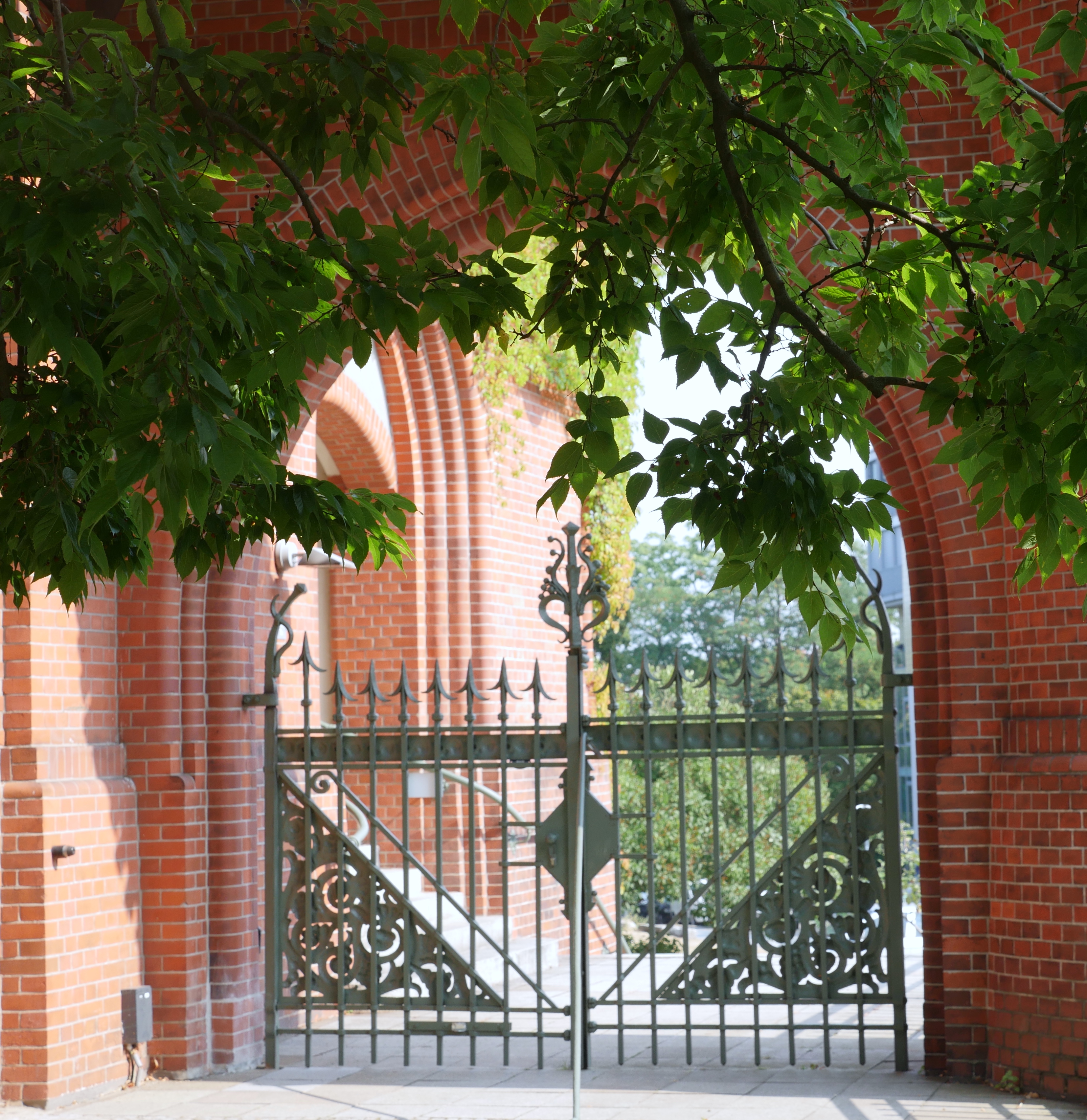 Antigone's Funeral, 2024