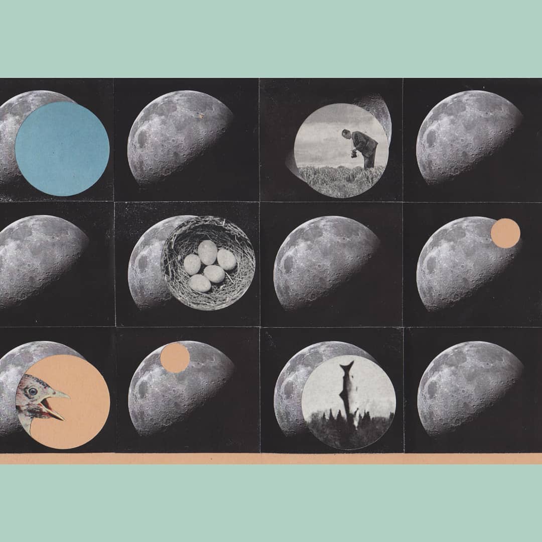 sideline | picture | collage