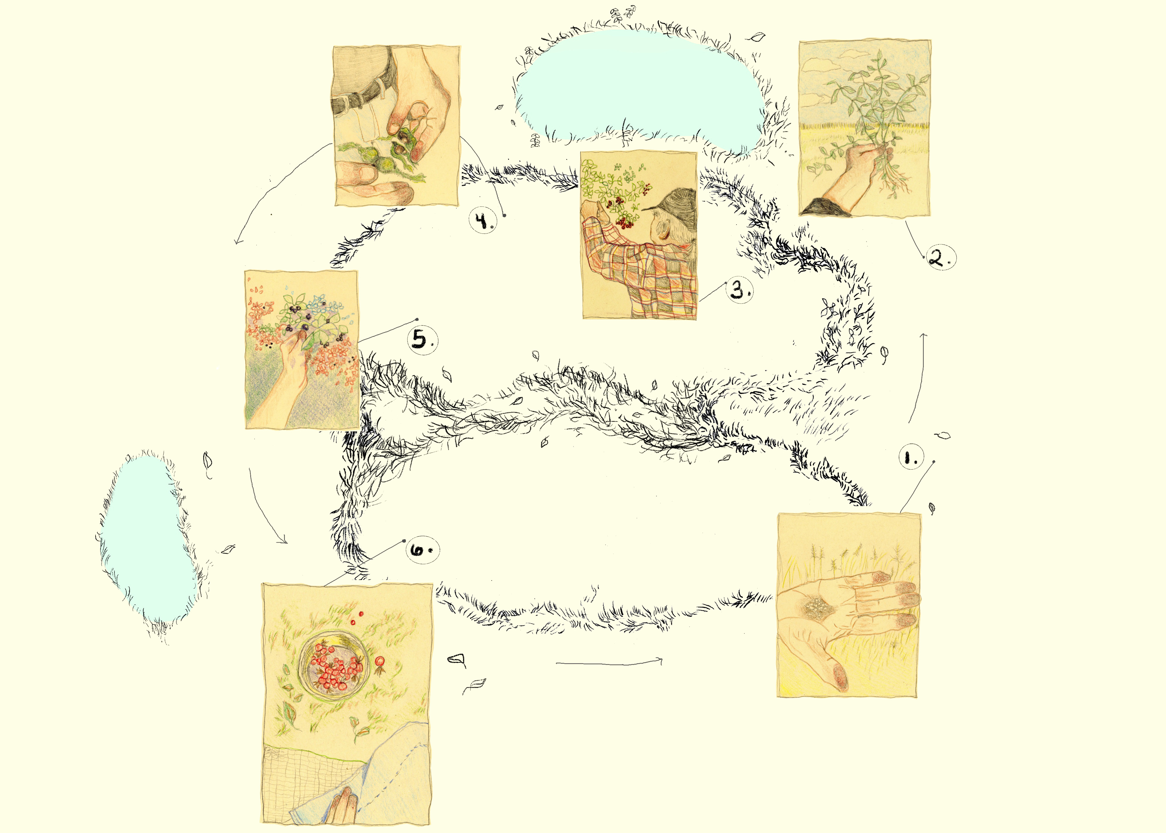 A map of Kiona's Moshom's land, there are numbers that correlate with pictures around the map, you may click a number to be taken to a separate page.
