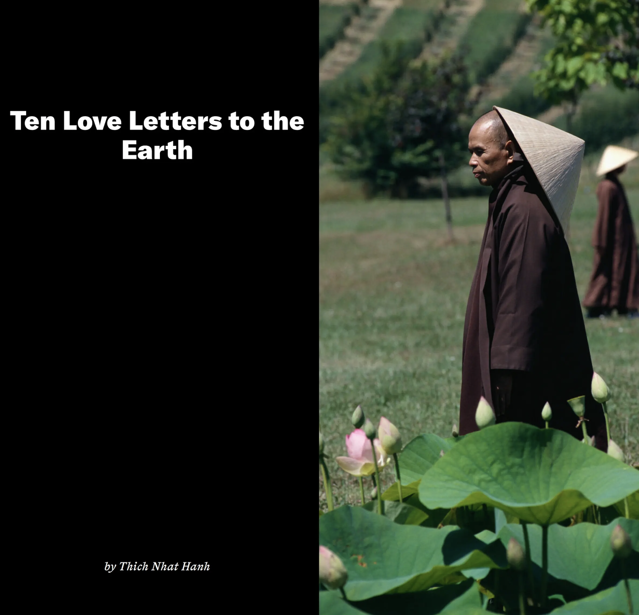 Vietnam- Ten Love Letters to the Earth