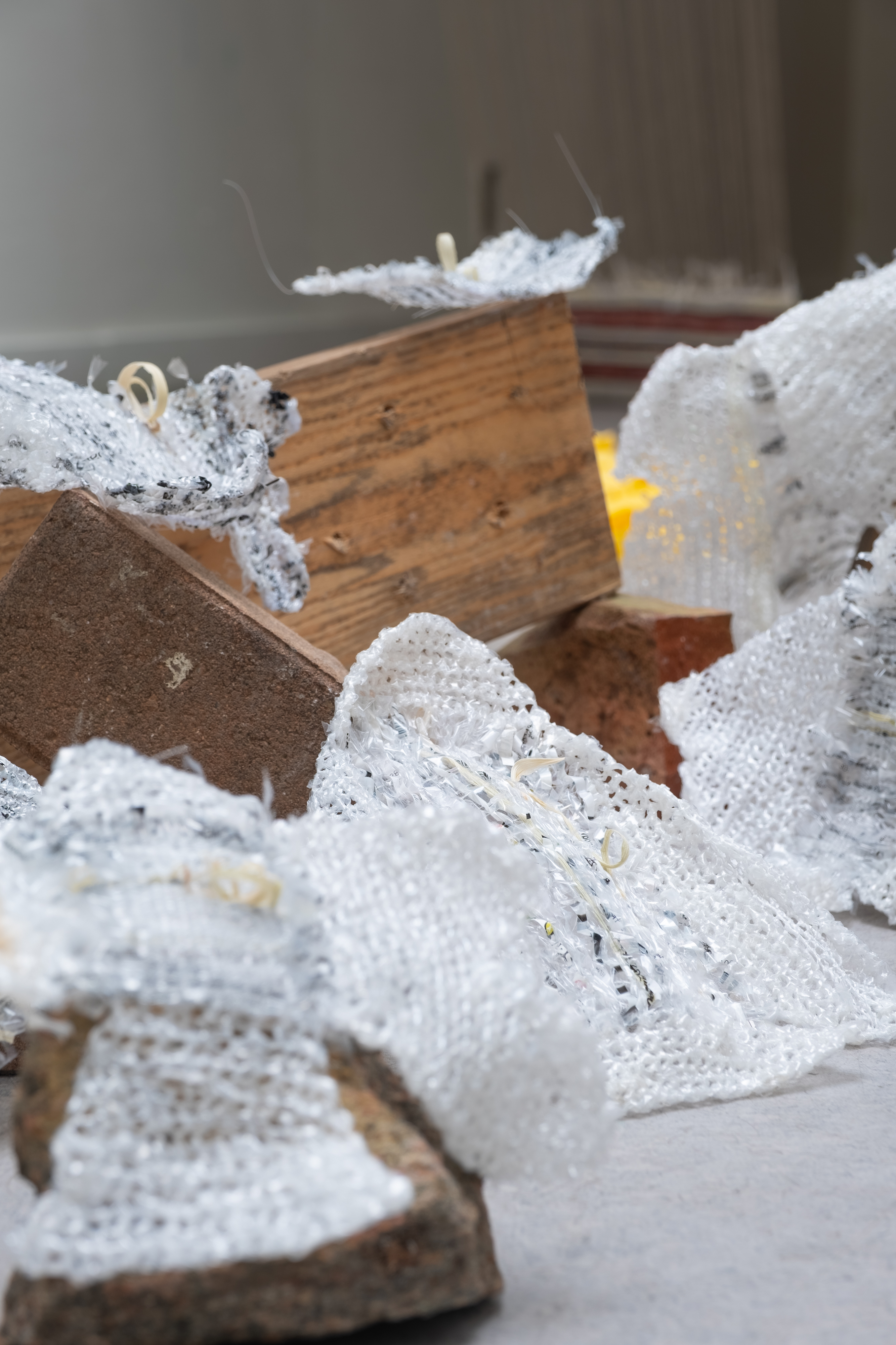 Un maïs tout neuf ° 2024