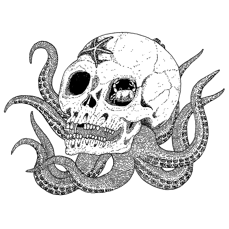 Octopuskull