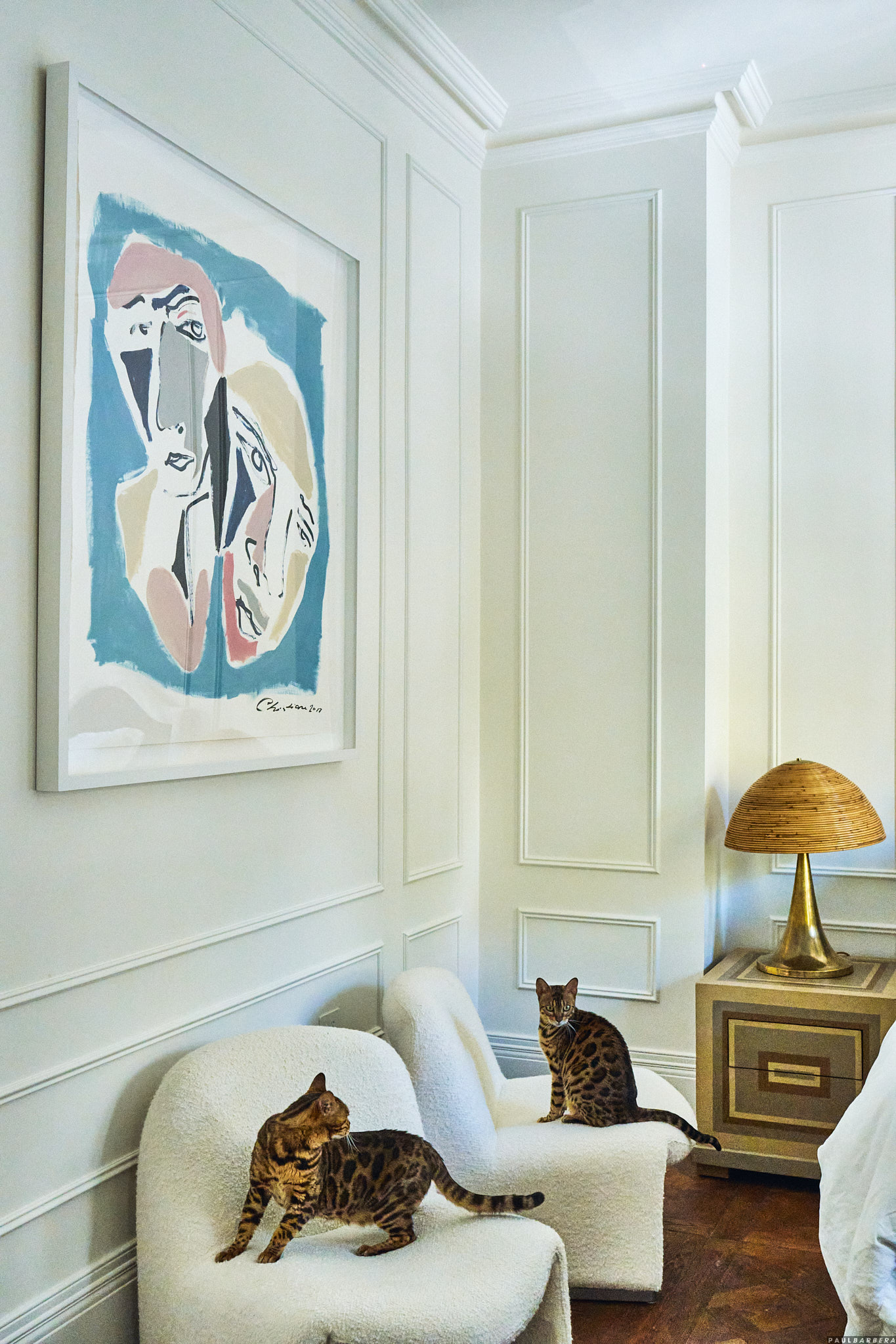 Book: Where They Purr, published by Thames & Hudson