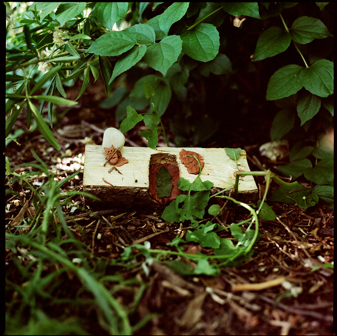 Chloé Devis - Nos Lieux de vie - Photographies - 2021