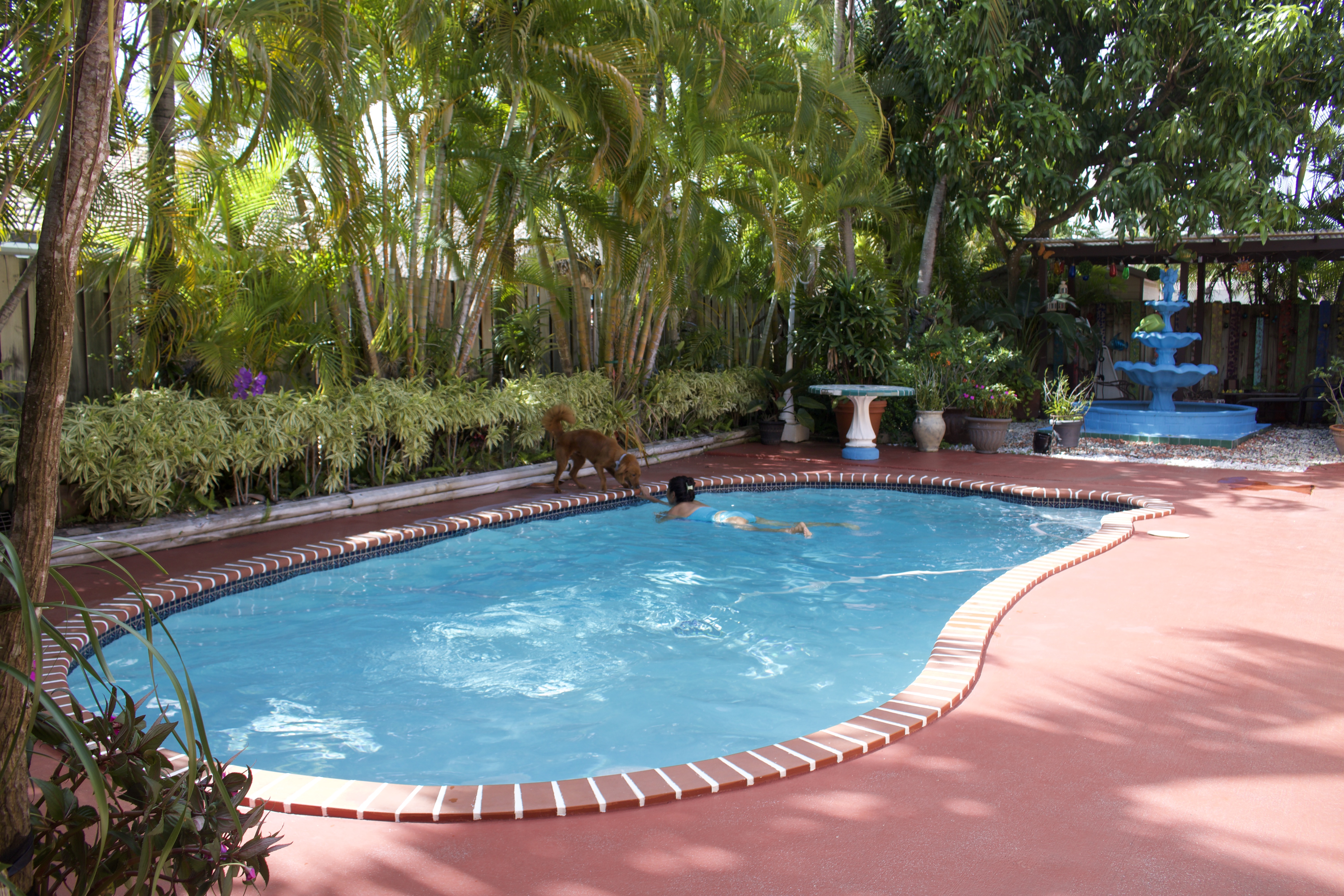 Outdoor Spaces and Living