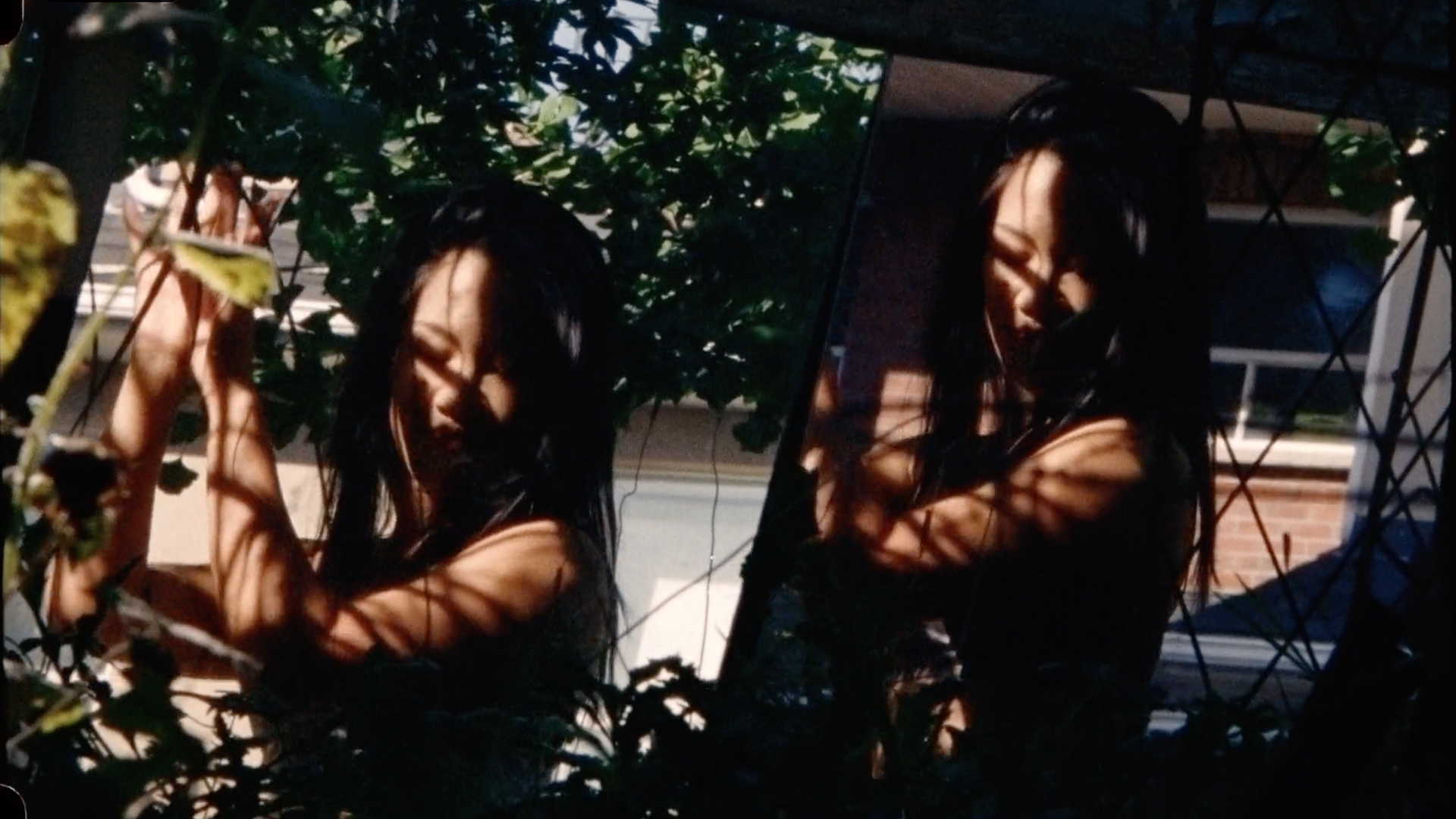 Radical NaturalExperimental