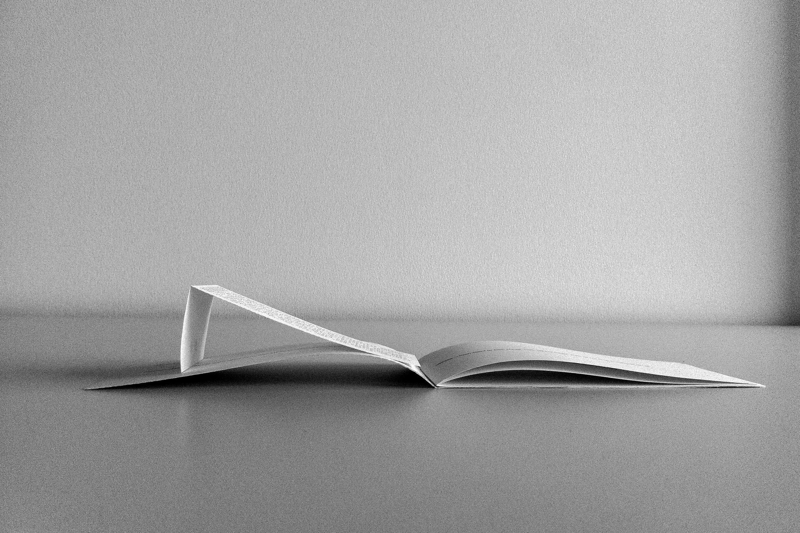 "...I have interevened, added my own text expanding this moment delaying the inevitable clash and crash. ..."