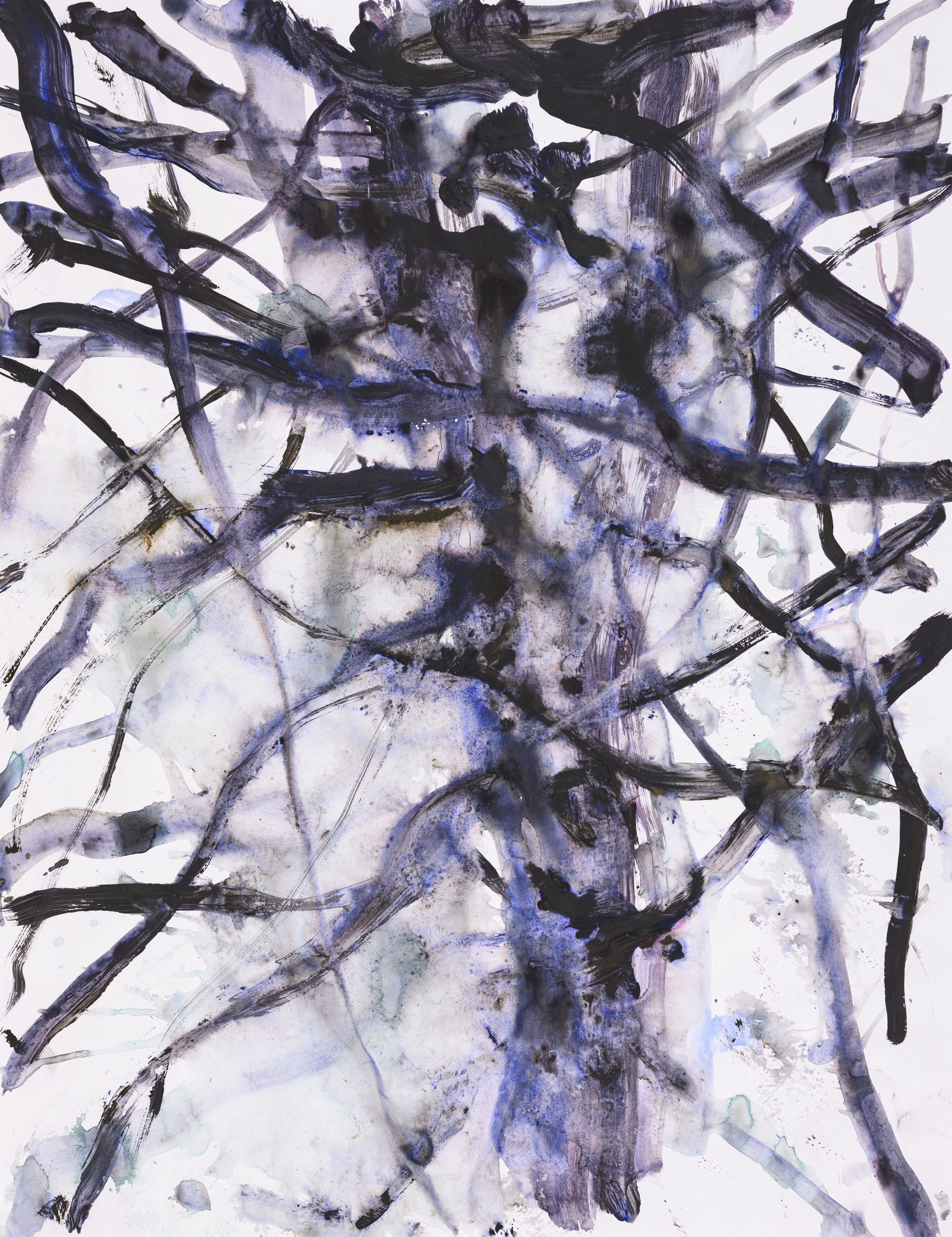 Study of nature 0052Acrylic on paper 65×50cm