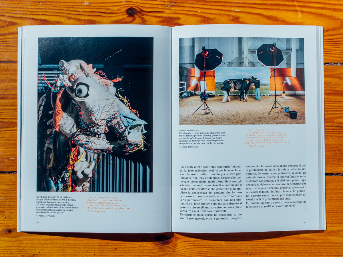 Festival of ethical photography, Lodi  / Hornless Heritage im Ausstellungskatalog / Oktober 2018