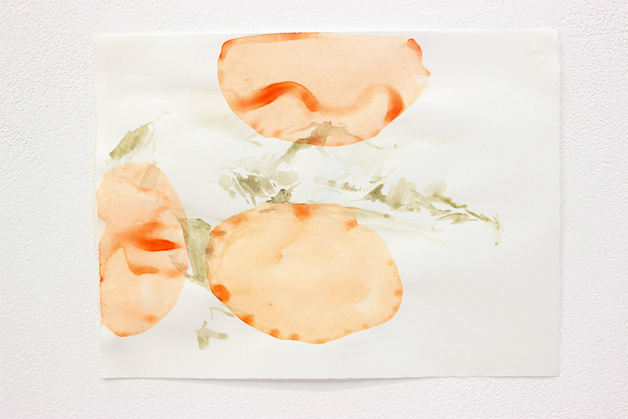 Caucasus, pigment, 10"x7.5