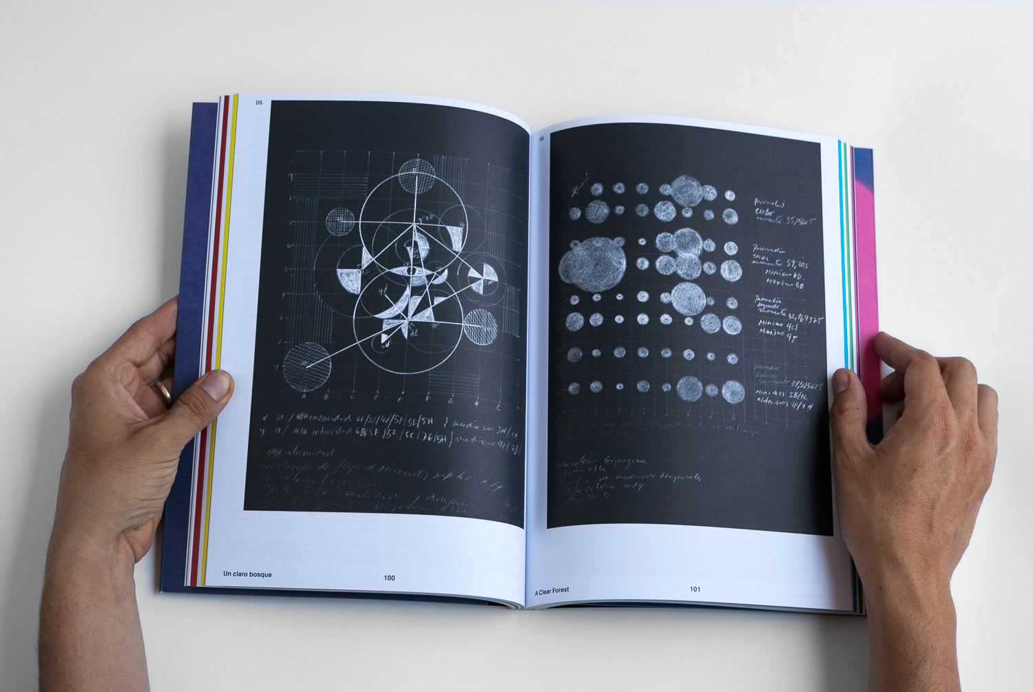 Libro Primero / First Book — Benjamín Ossa