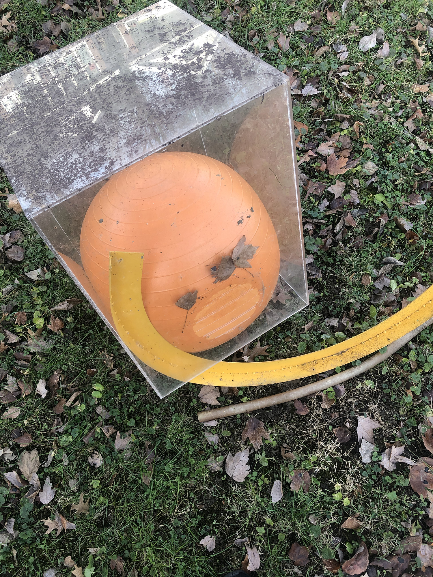 On the ground, a plexiglass vitrine tightly holds a squishy rubber yoga ball, and an arc of yellow plastic hooks inside from outside and out of frame.