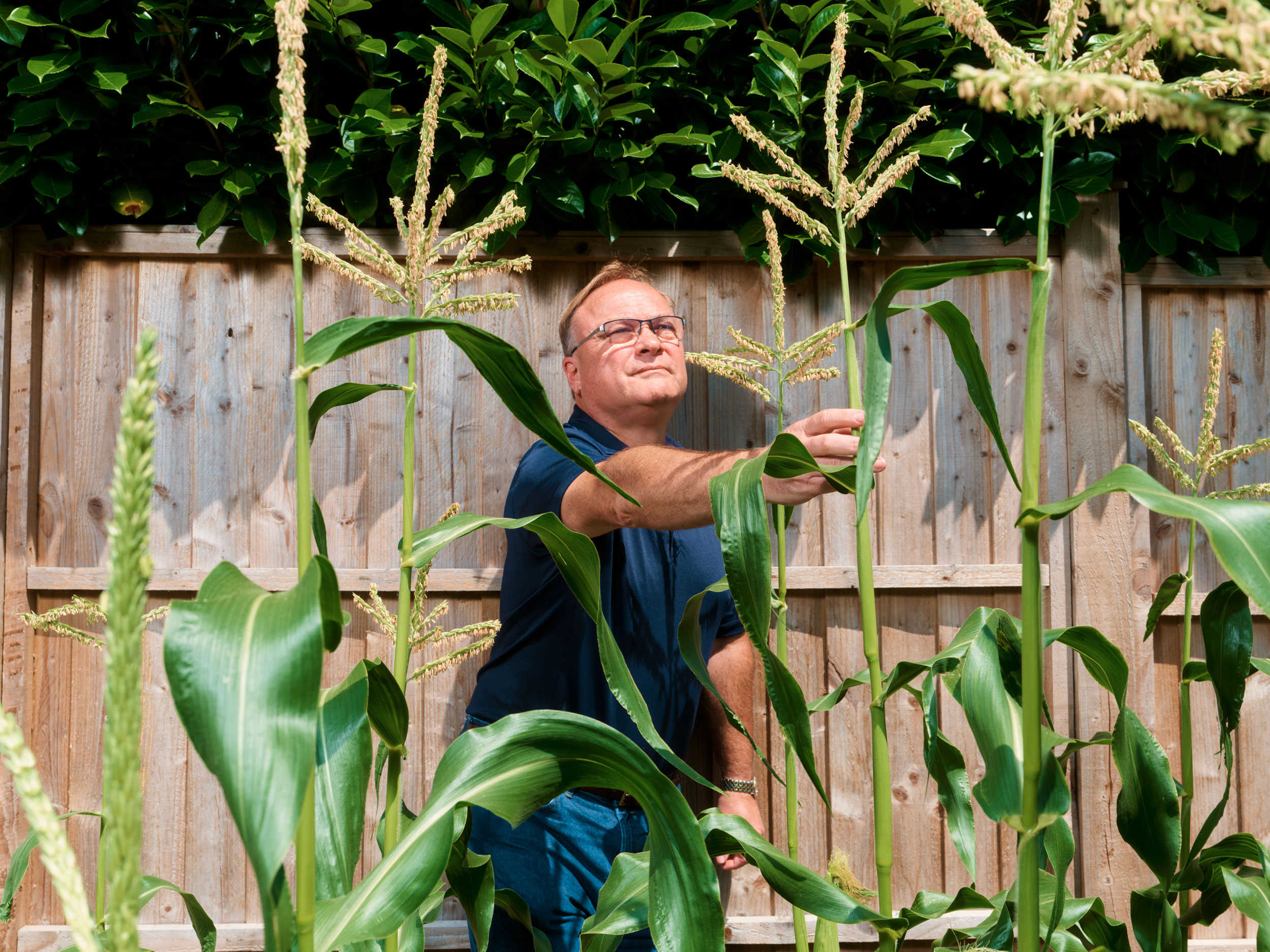 No Mow for The New York Times