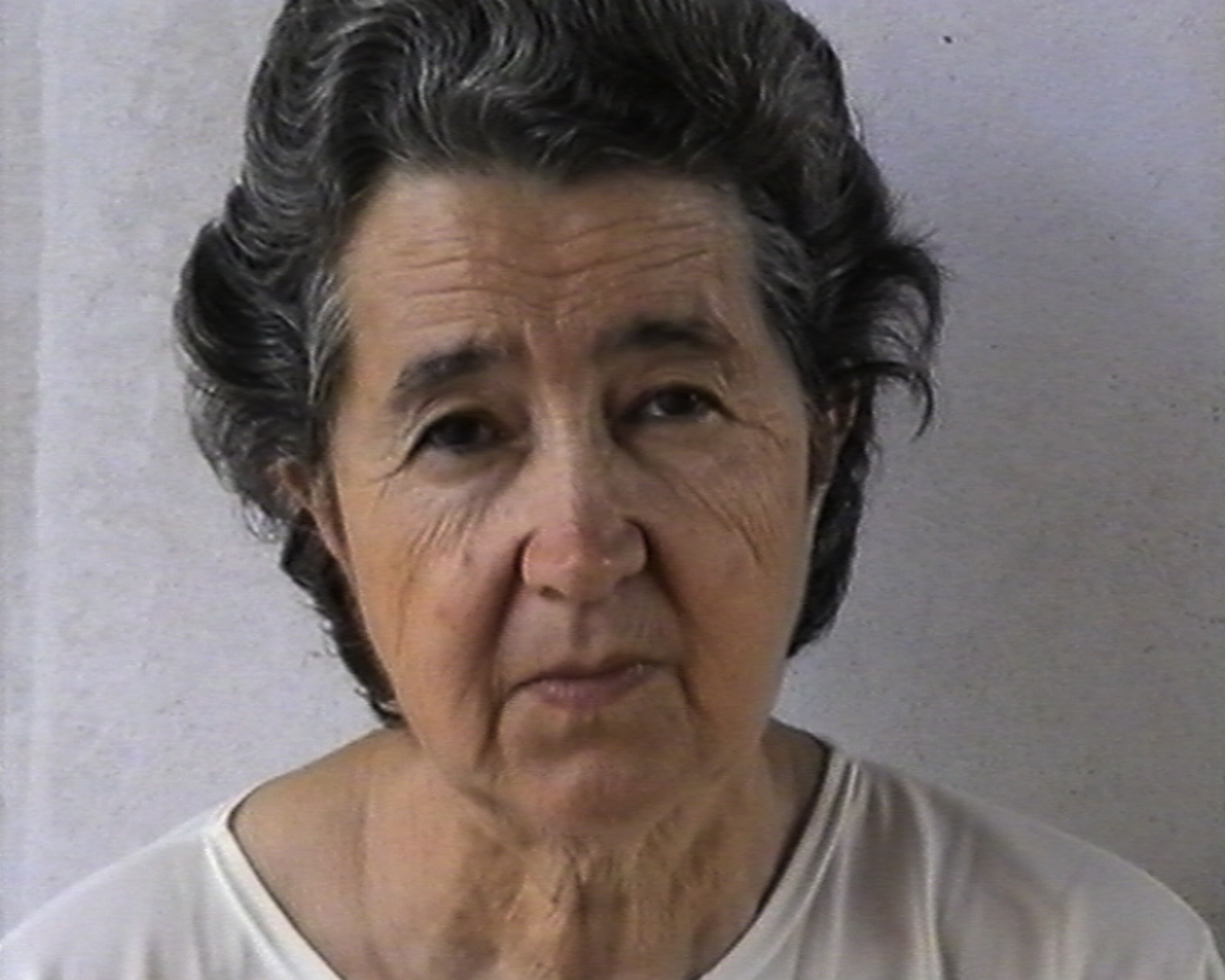  Dalice, 2005/2006 (Still Image) Video, Soundless 4'3" (in loop) in 2 monitors facing each other.