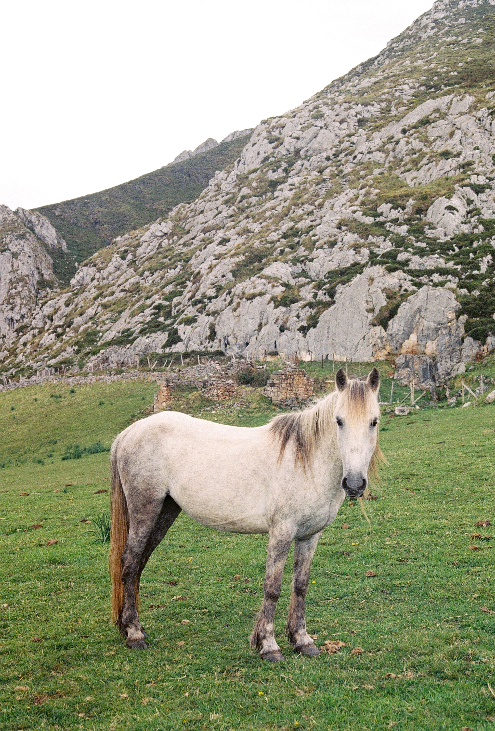 Peaks of Europe, 2024, Canon FTb
