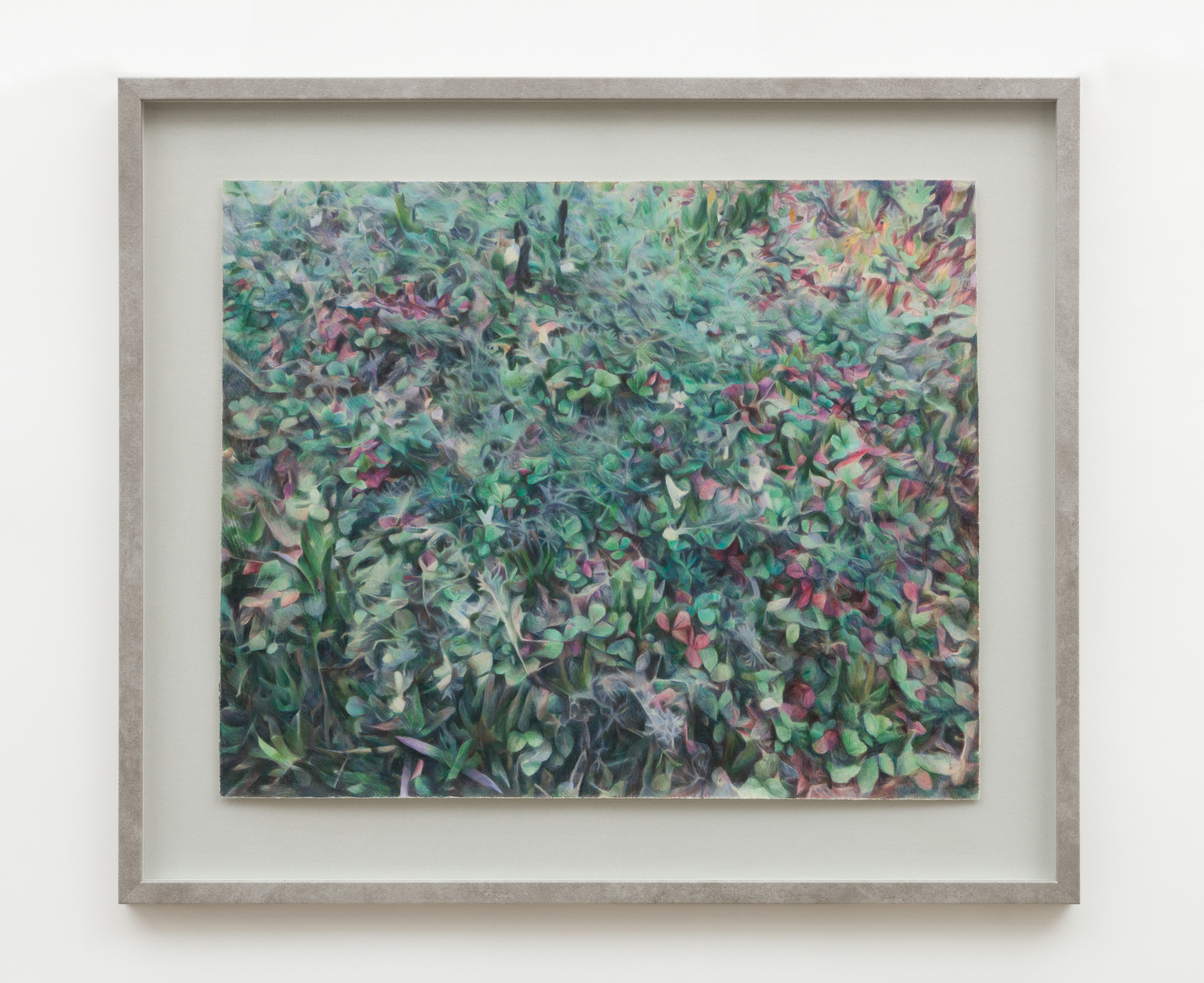 Ground Cover (2021) colored pencil on paper  22 in x 27 in 