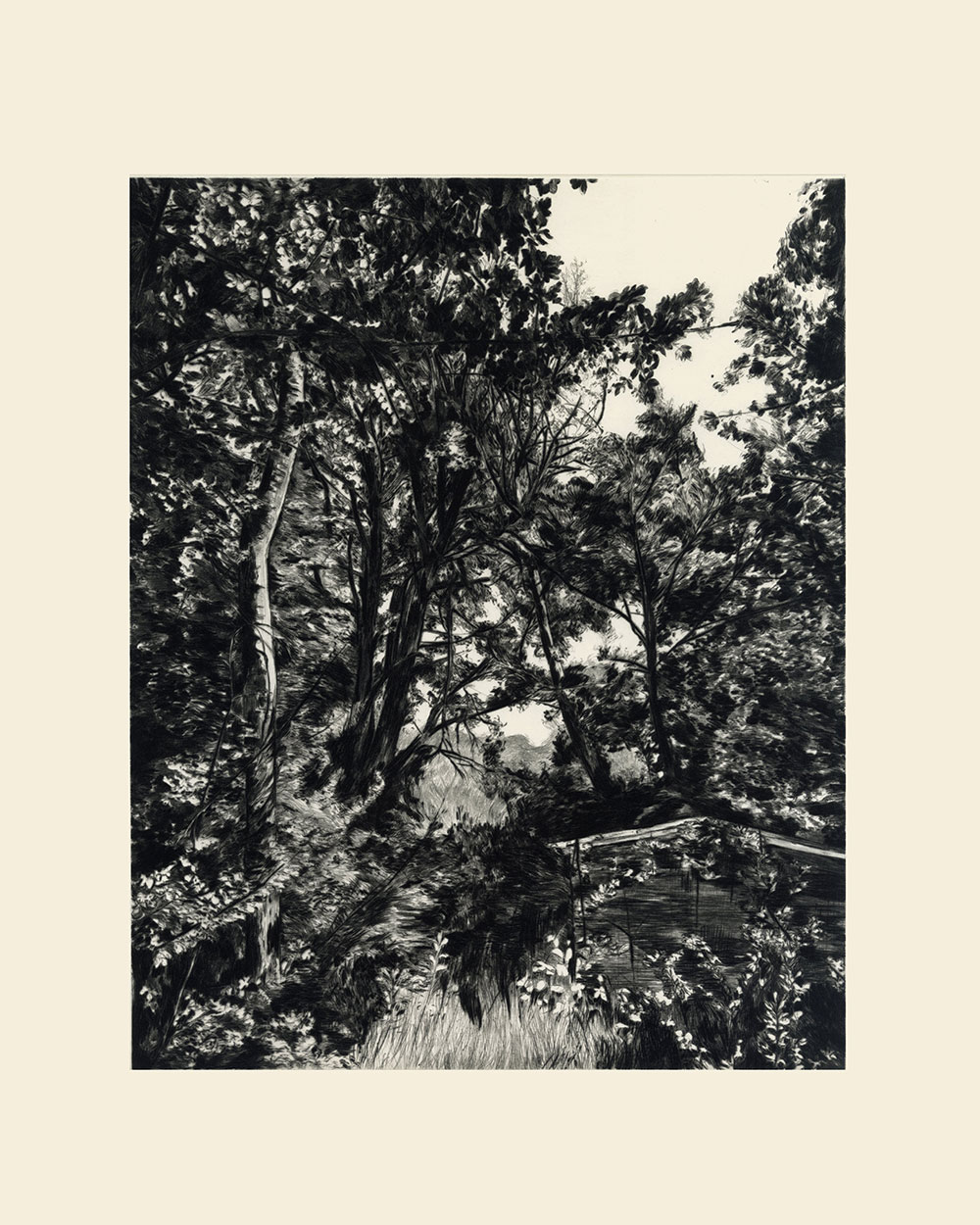 Caroline, drypoint, 30x37cm, 2025