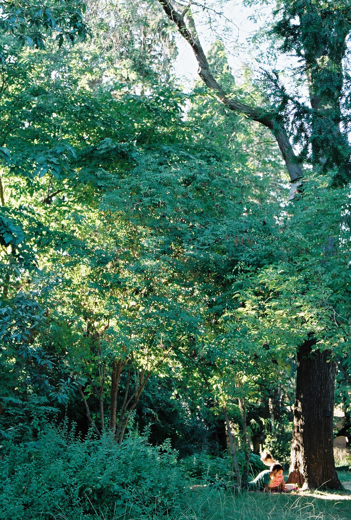 Montpellier, France, 2017.