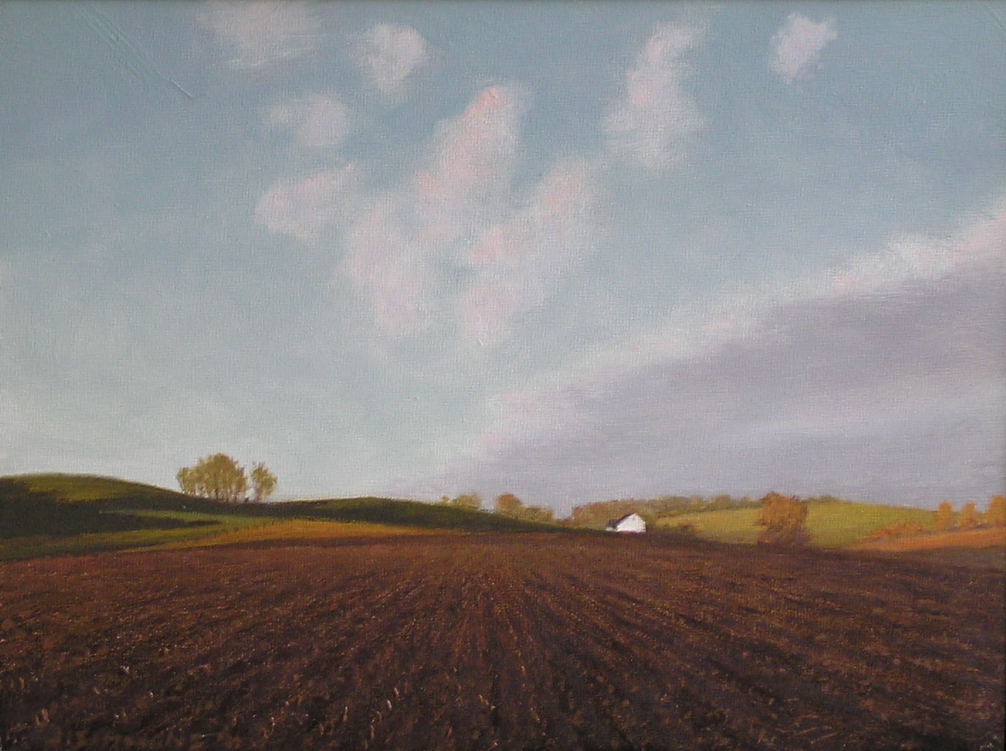 L1.62 - plowed field