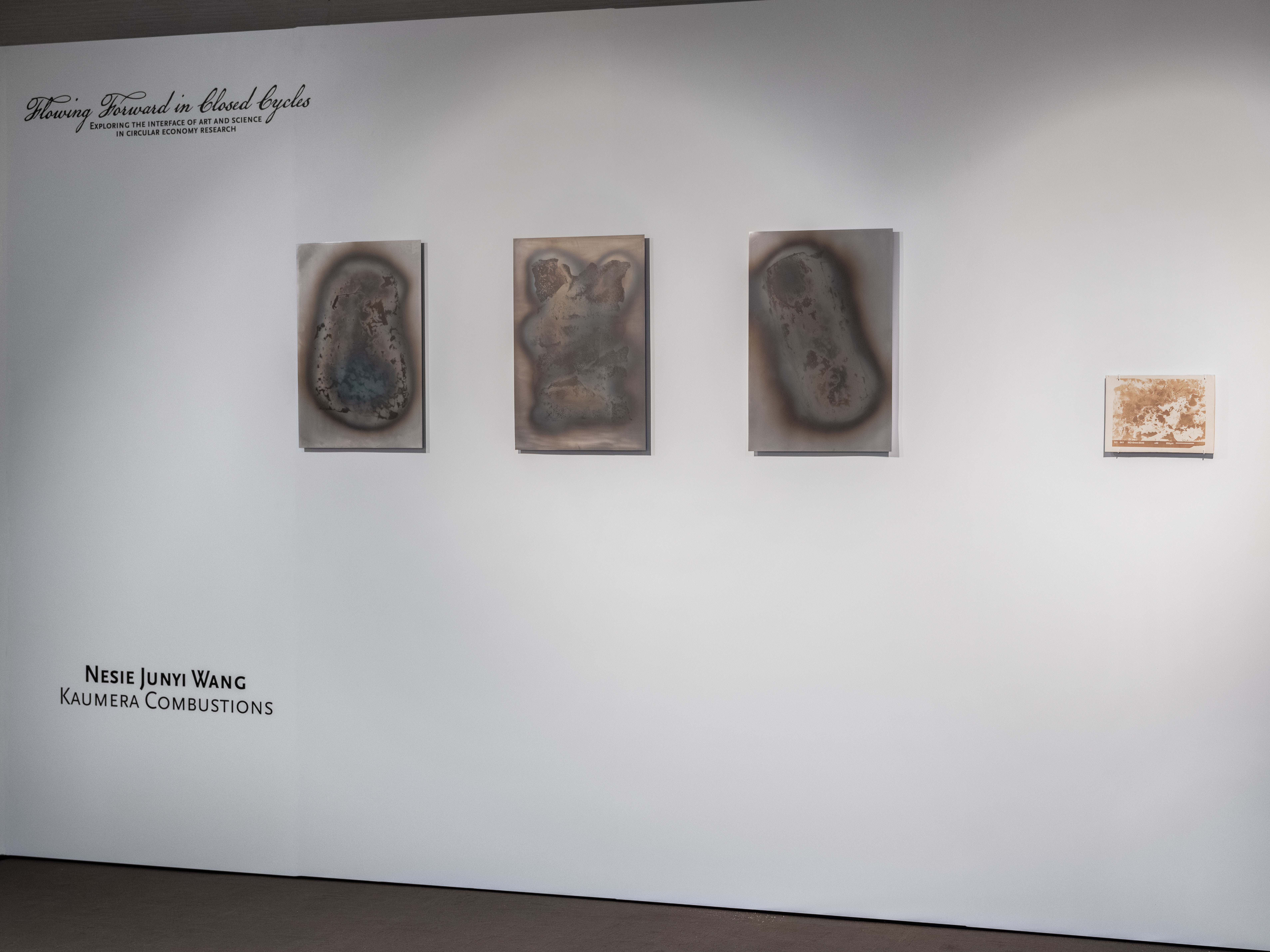 Kaumera Combustions. Exhibition view at NWO Life 2024. 
