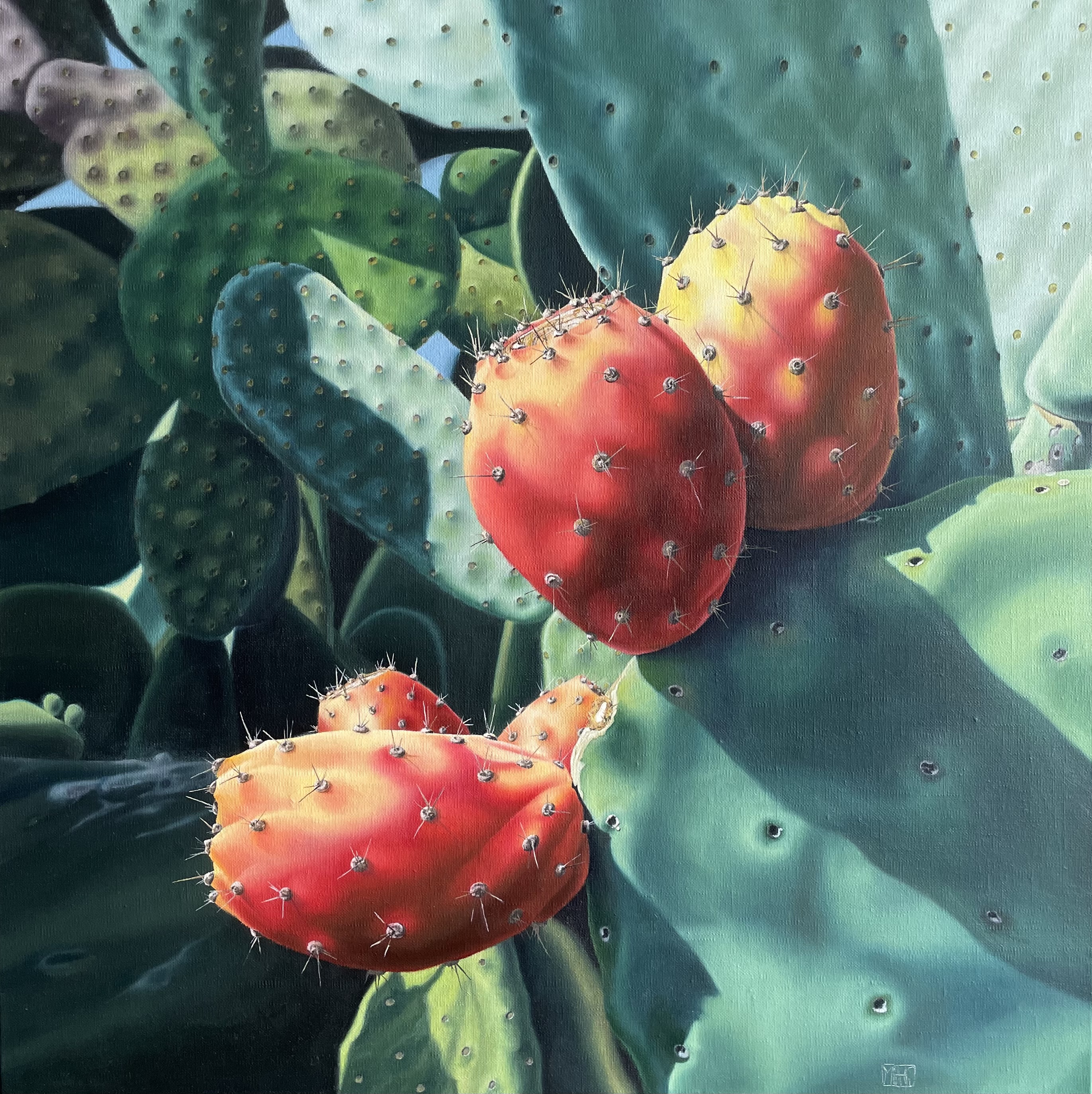 145–Feigenkaktus Nr.1170×70 cmÖl auf Leinwand2022︎ Bild kaufen